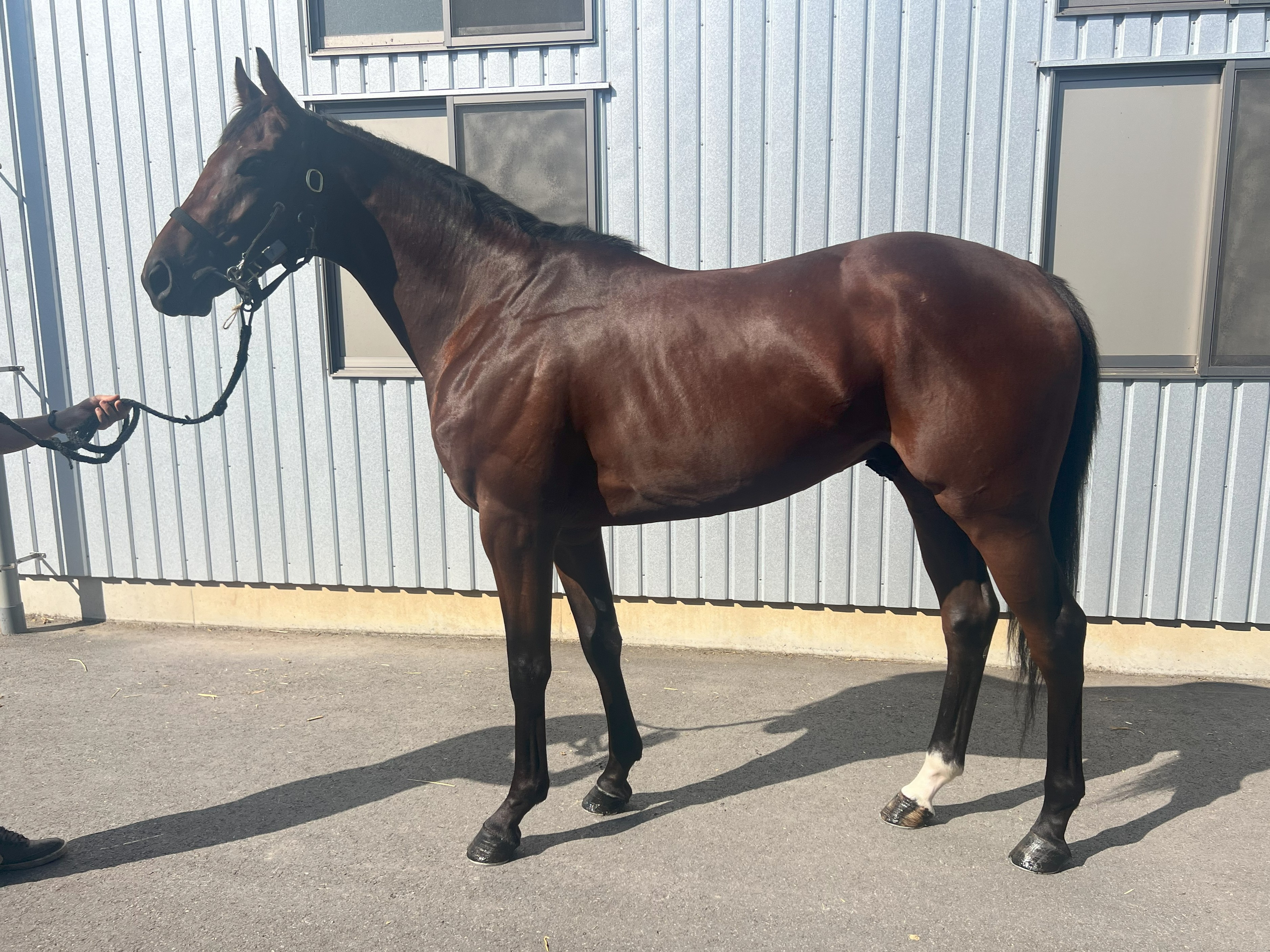 画像サムネイル