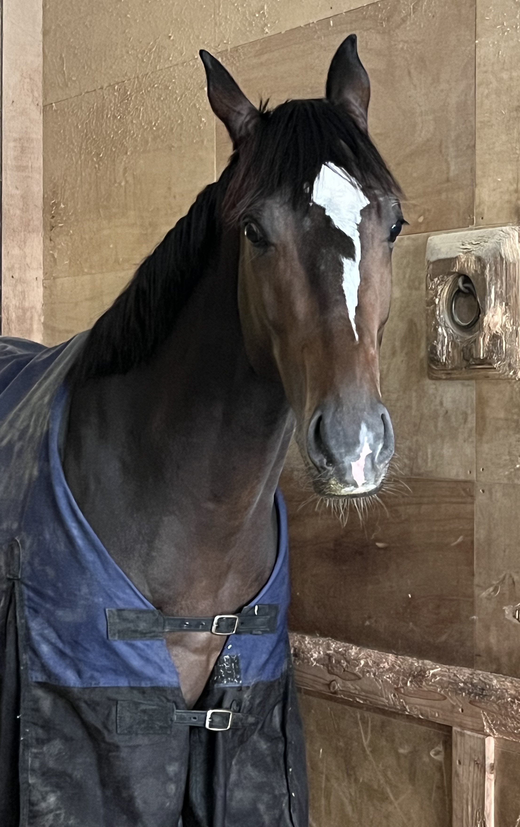 画像サムネイル