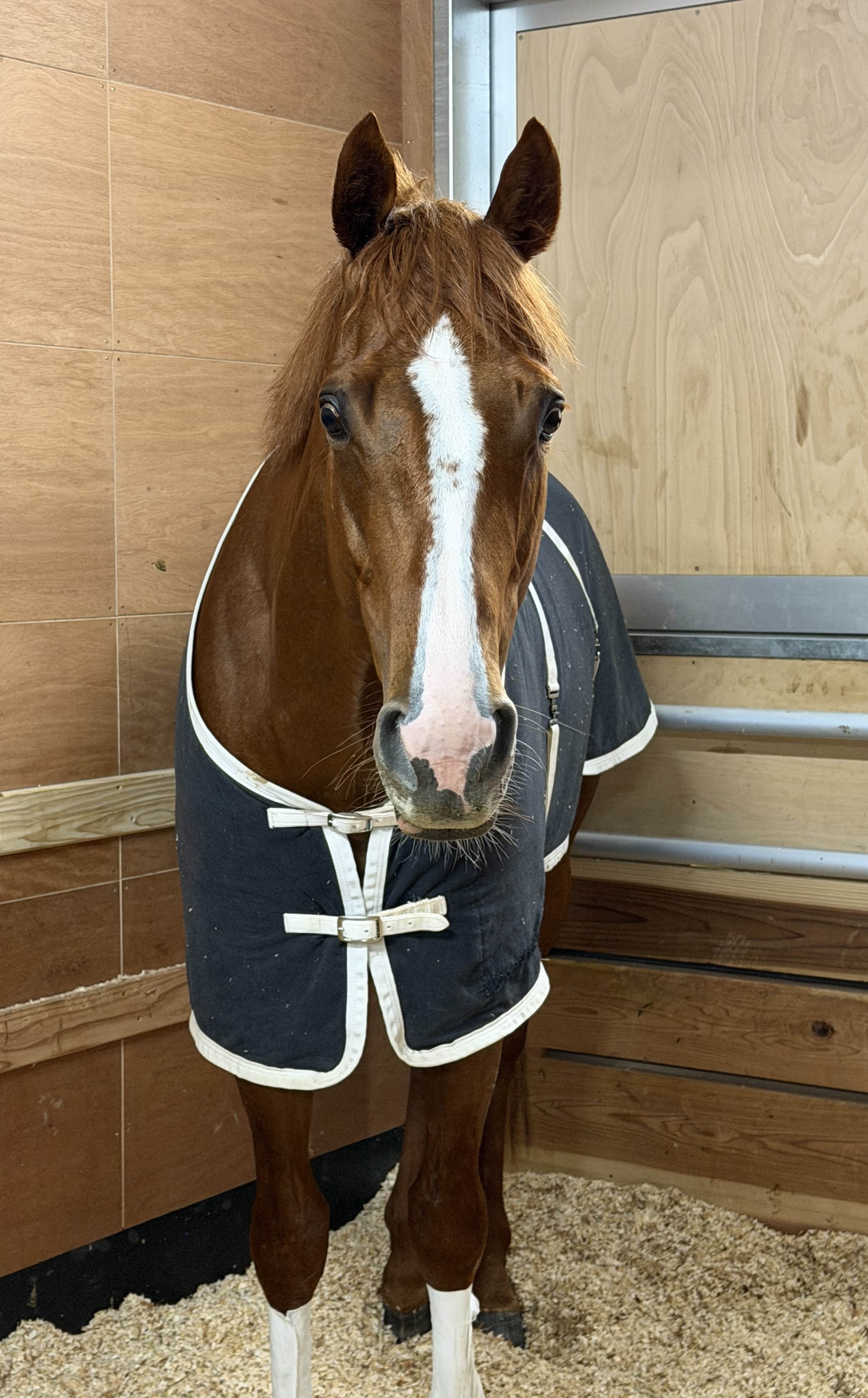 画像サムネイル