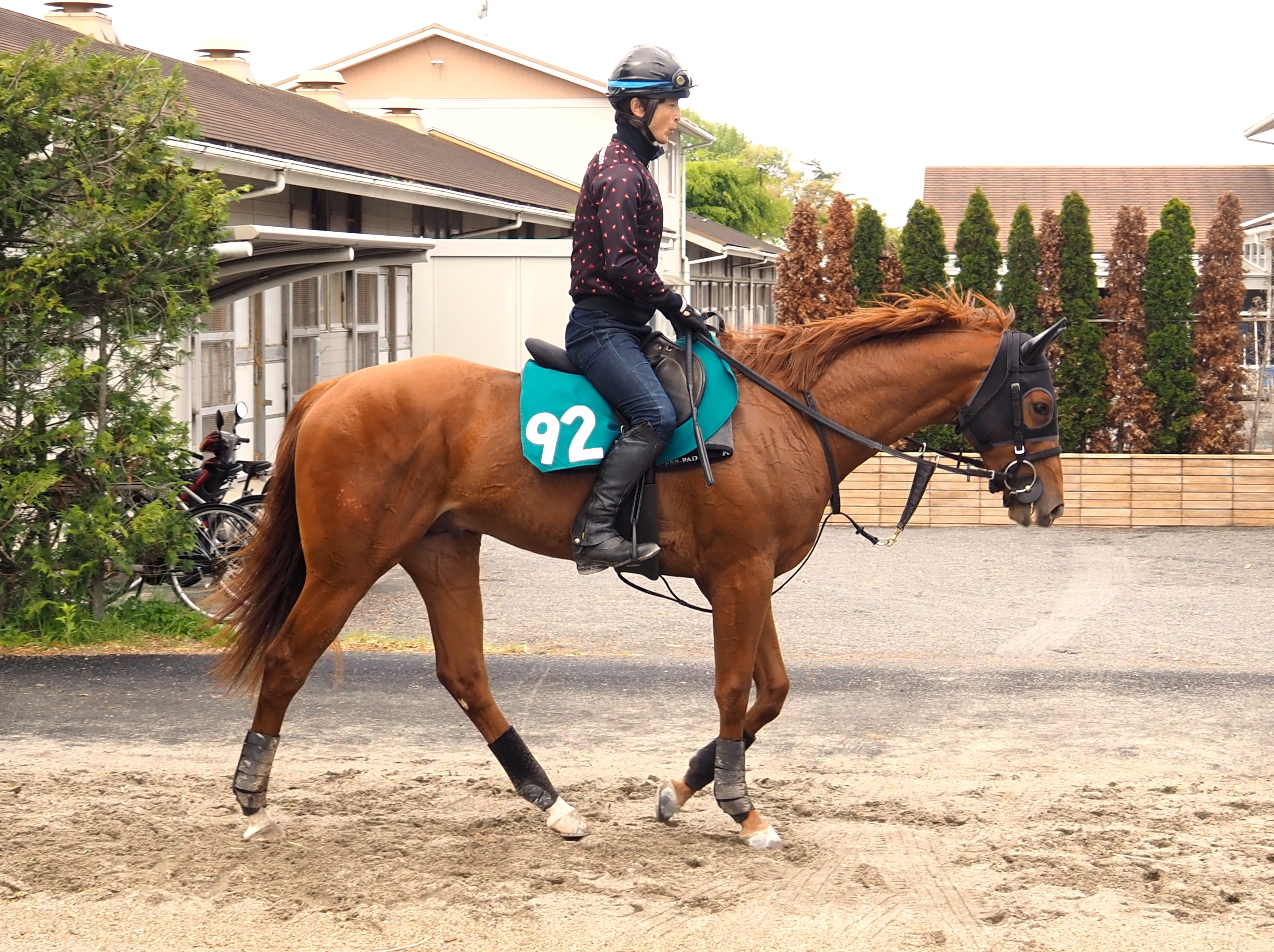 画像サムネイル