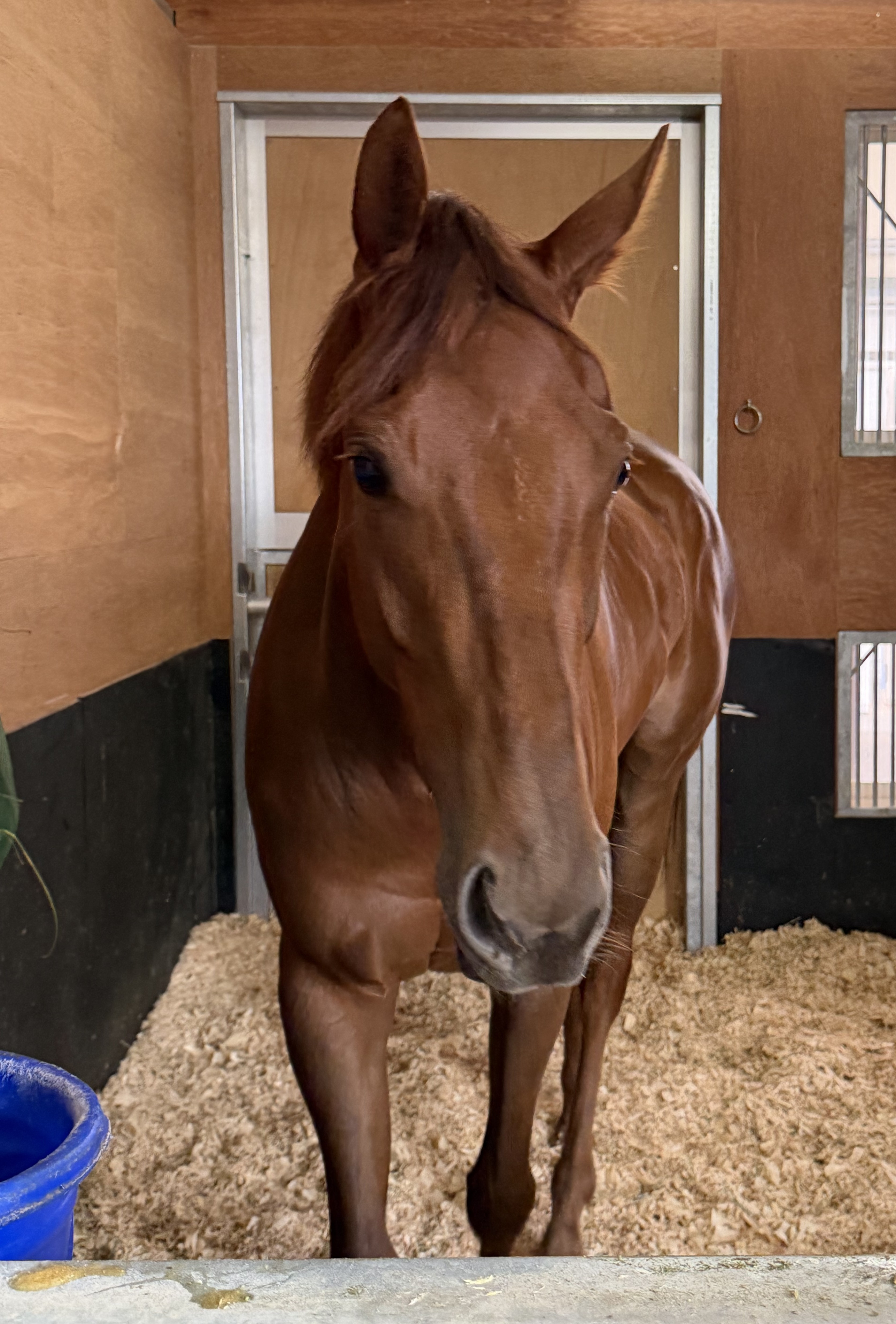 画像サムネイル