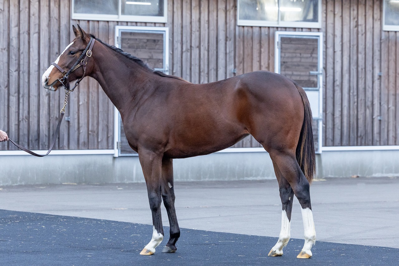 画像サムネイル