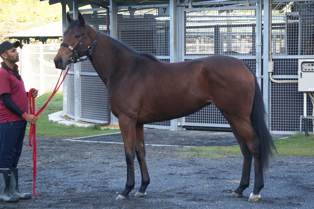 画像サムネイル