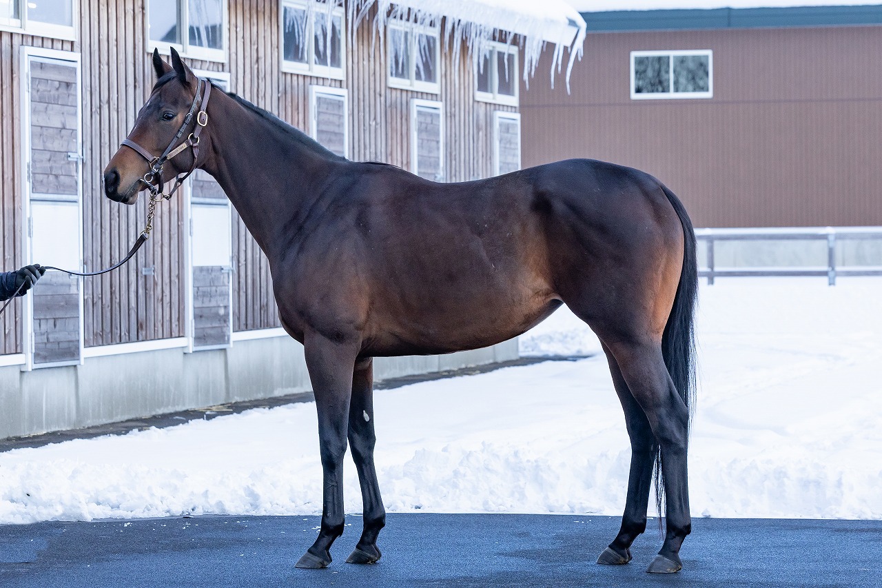 画像サムネイル