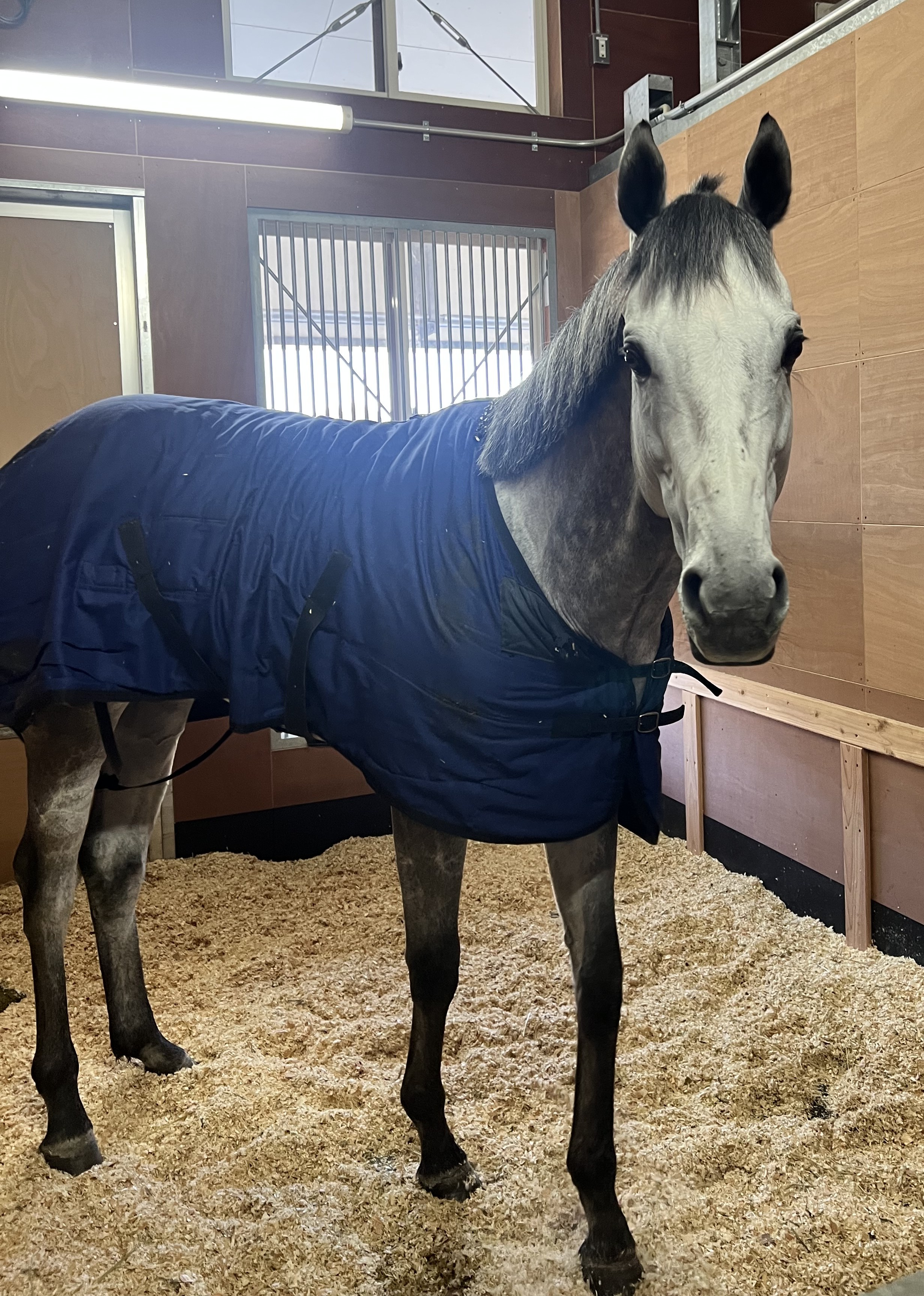 画像サムネイル