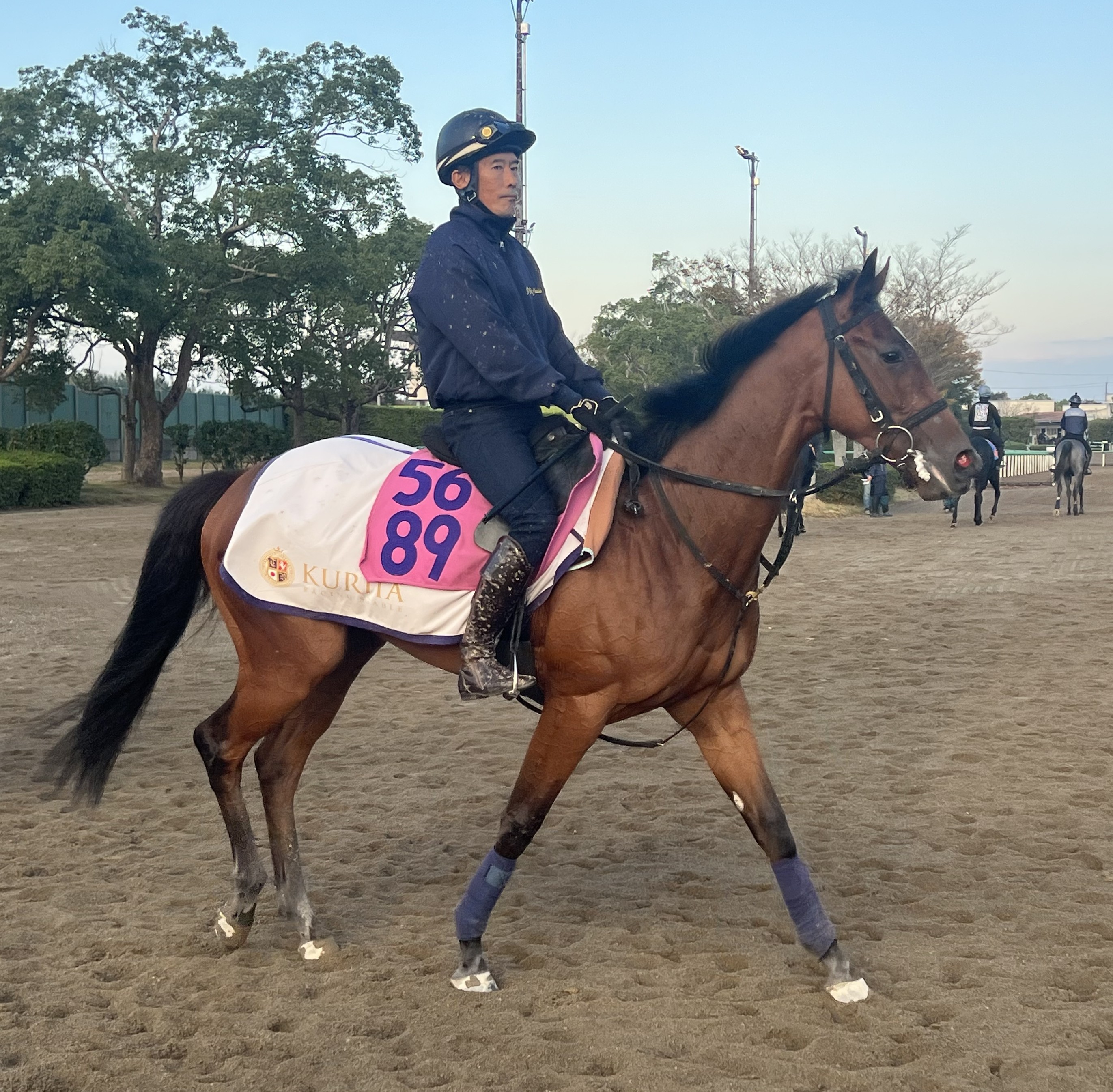 画像サムネイル