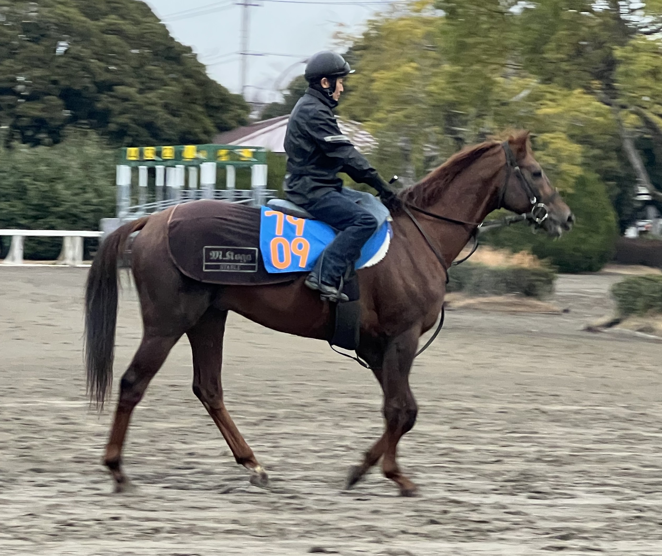 画像サムネイル