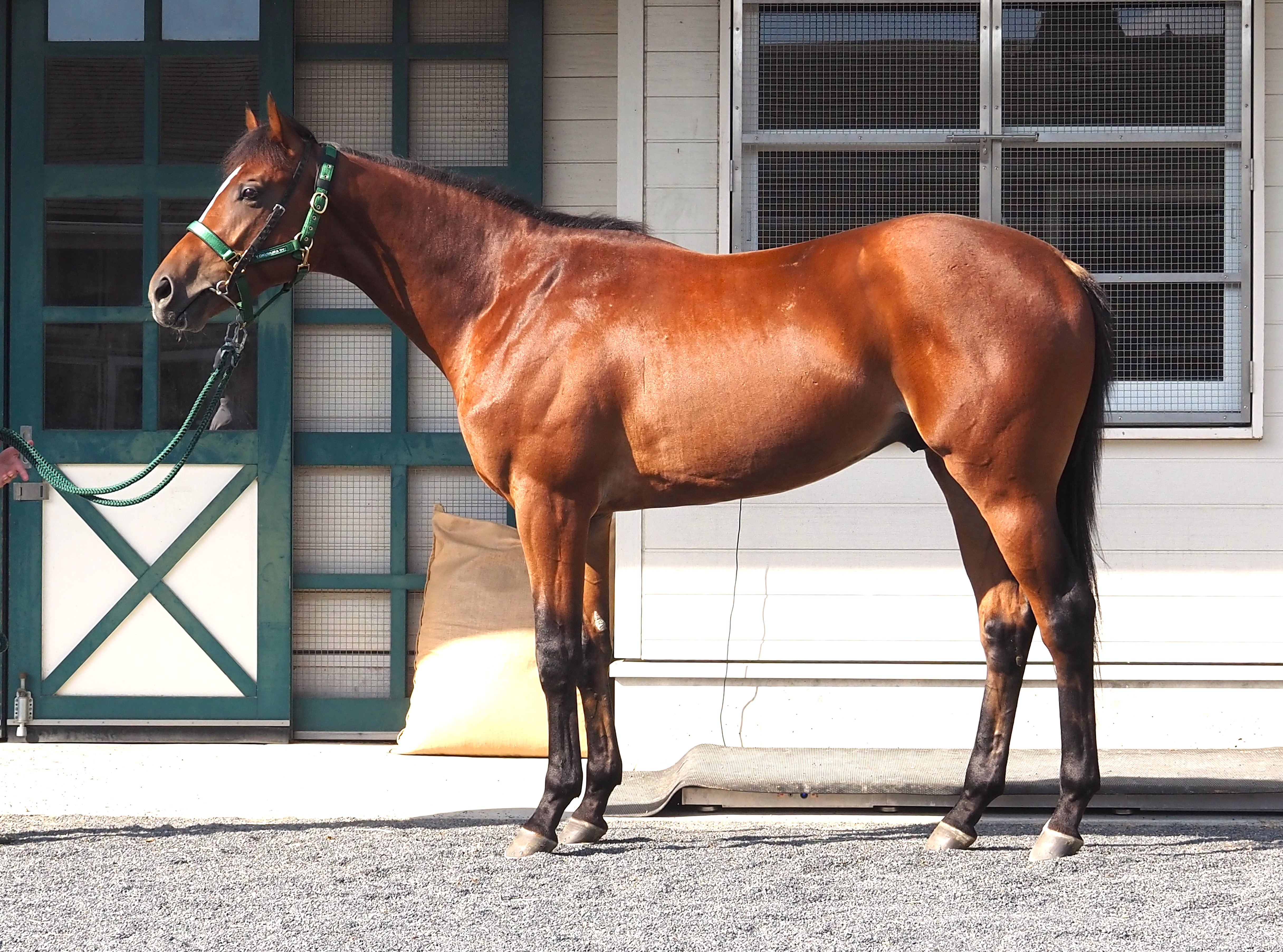 画像サムネイル