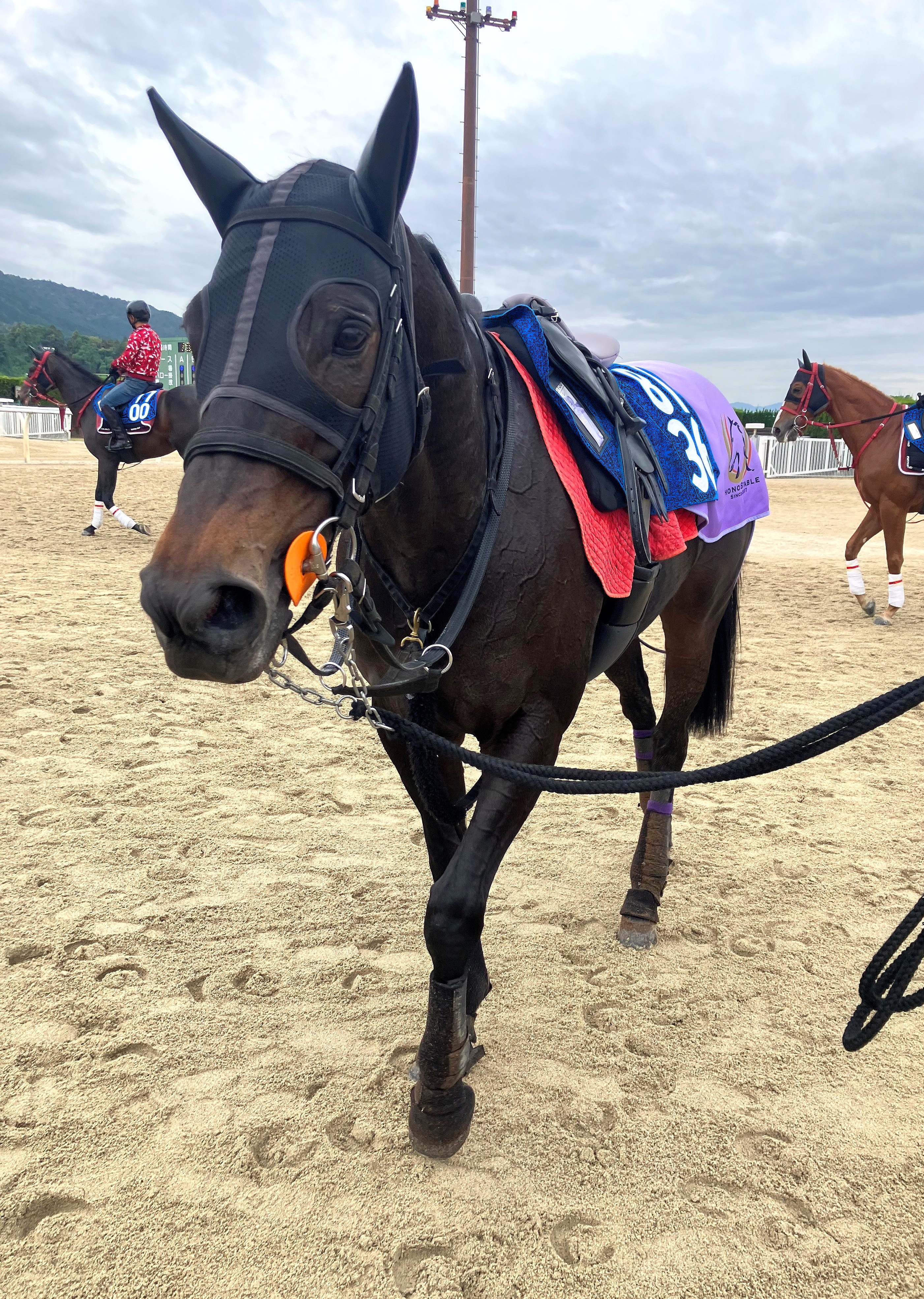 画像サムネイル