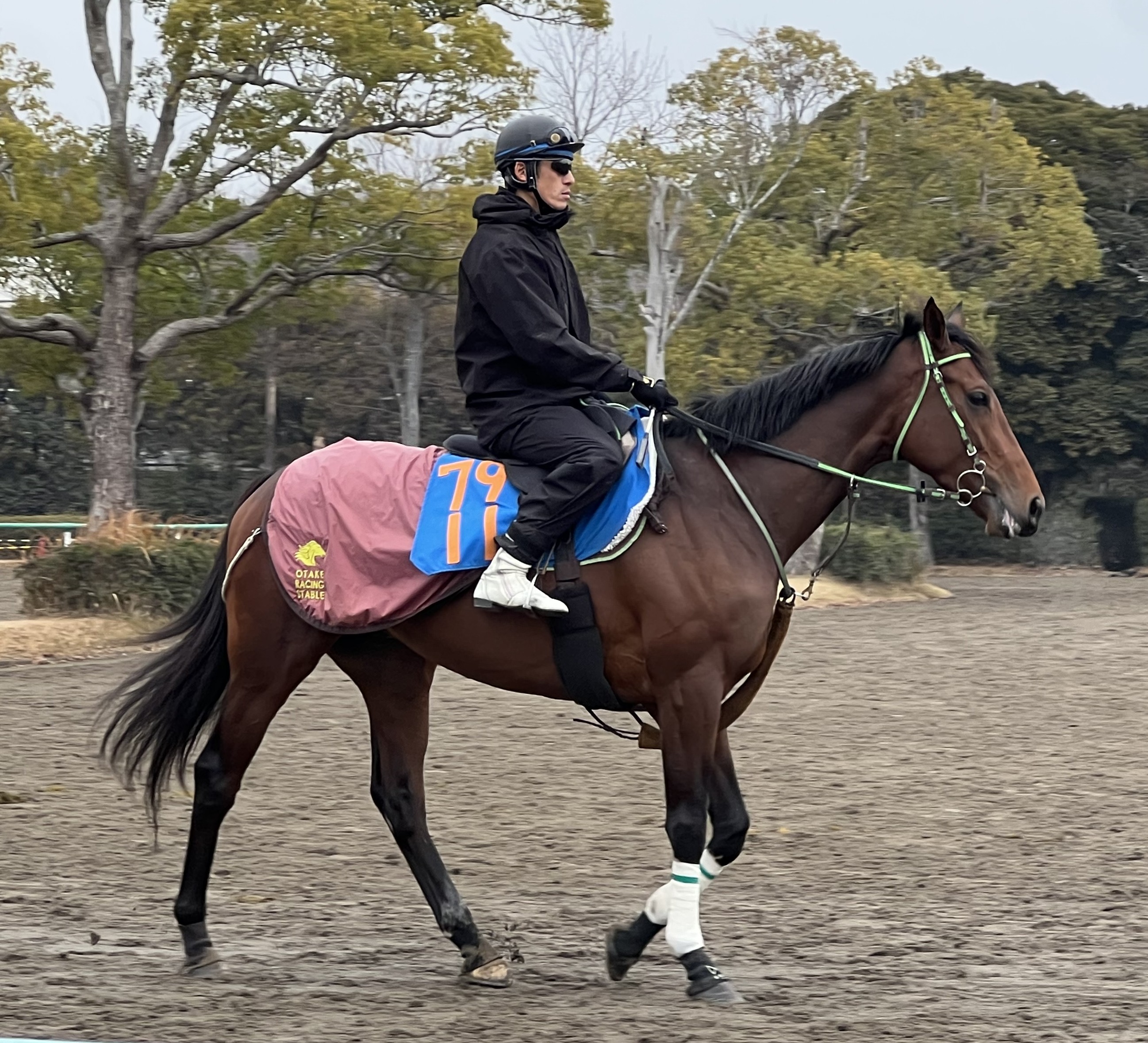 画像サムネイル