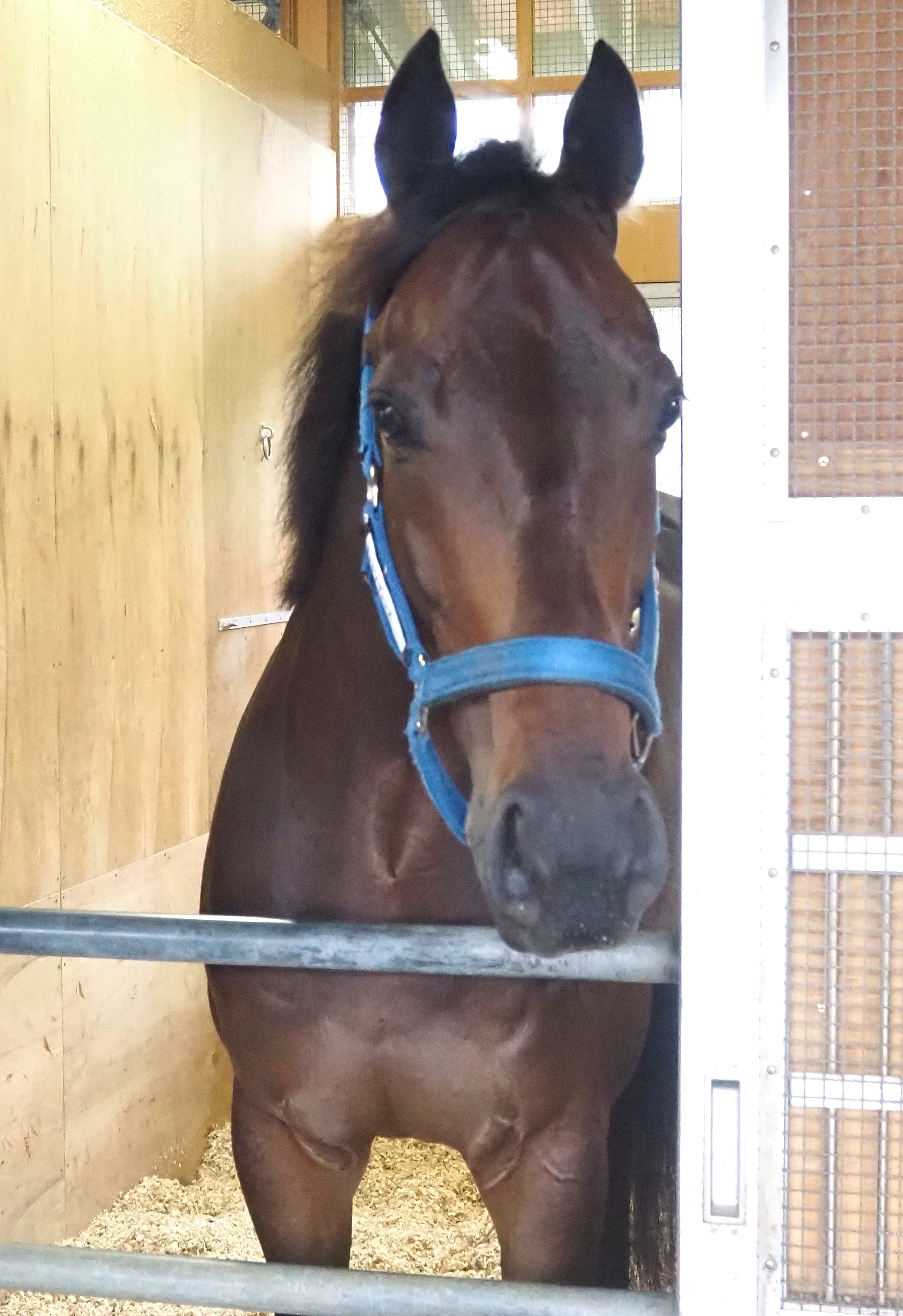 画像サムネイル