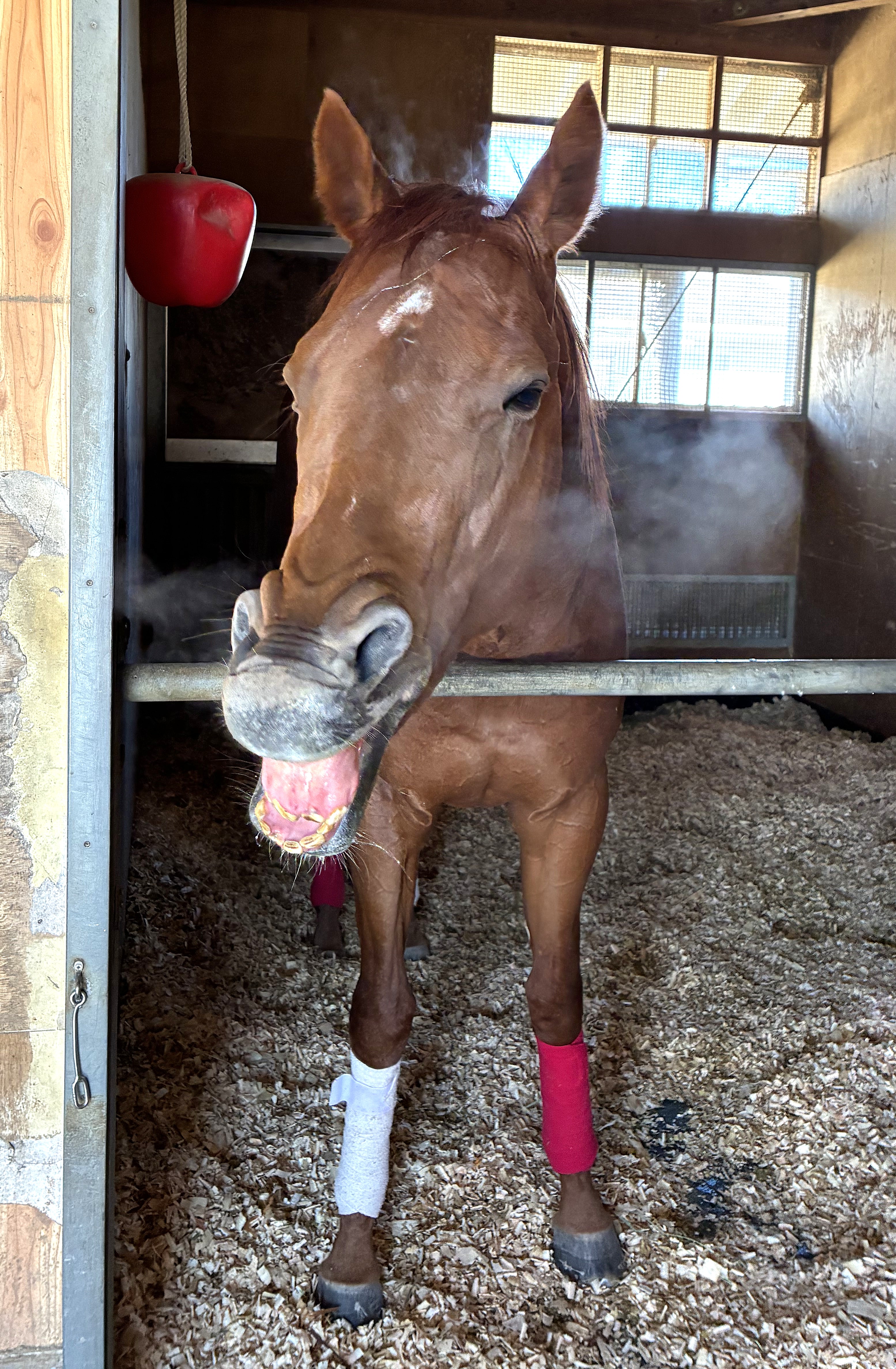 画像サムネイル