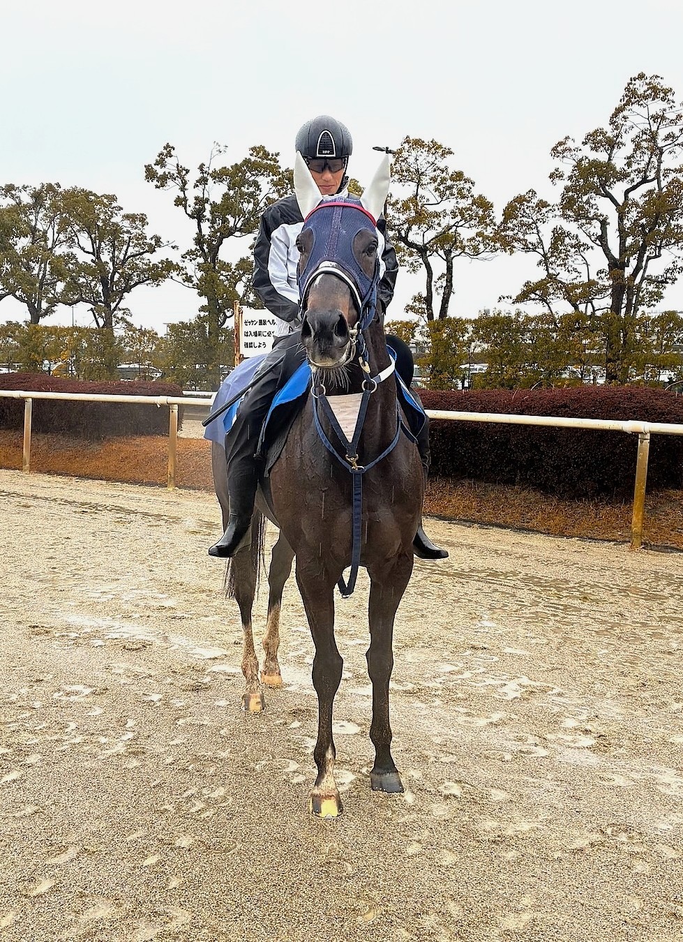 画像サムネイル