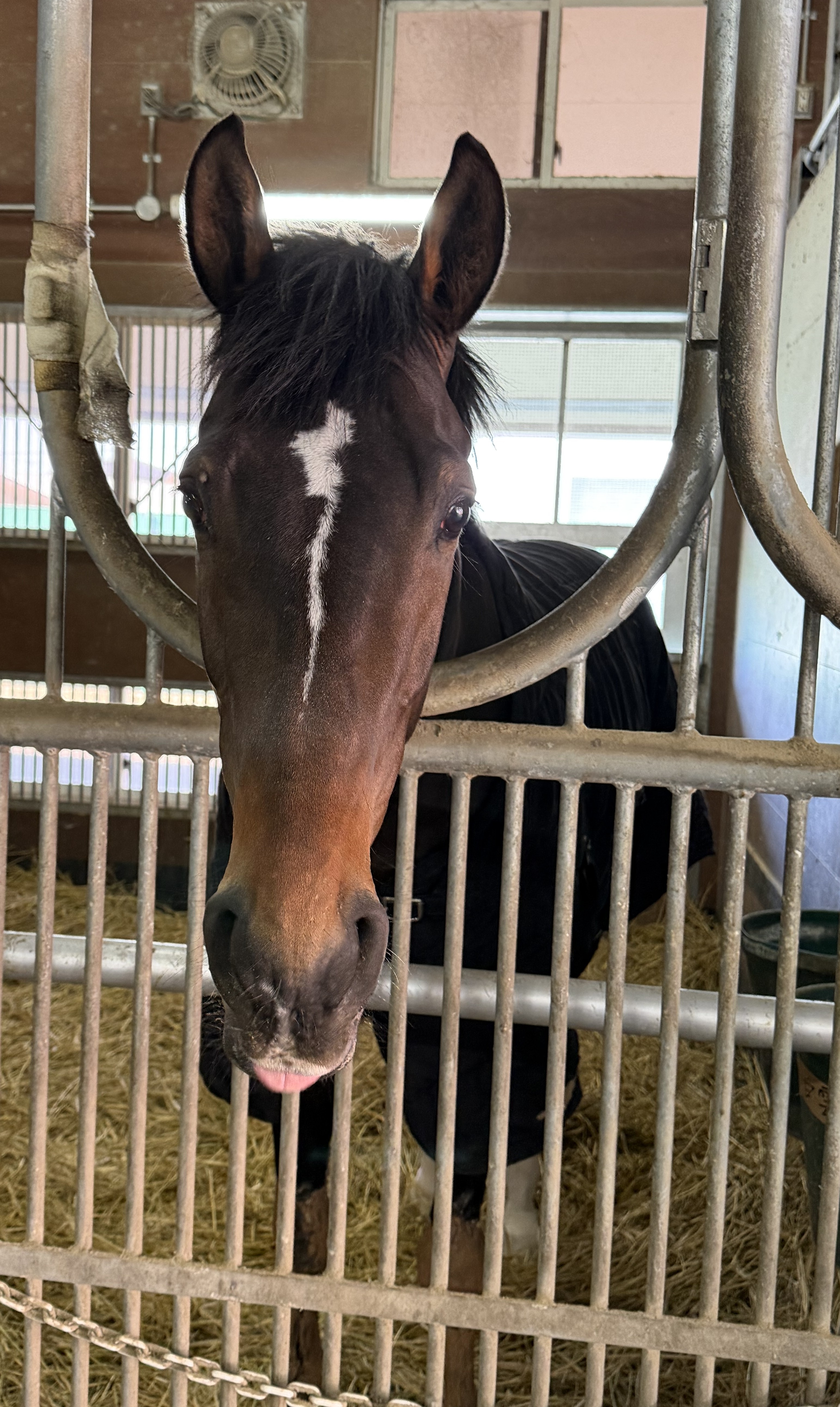 画像サムネイル