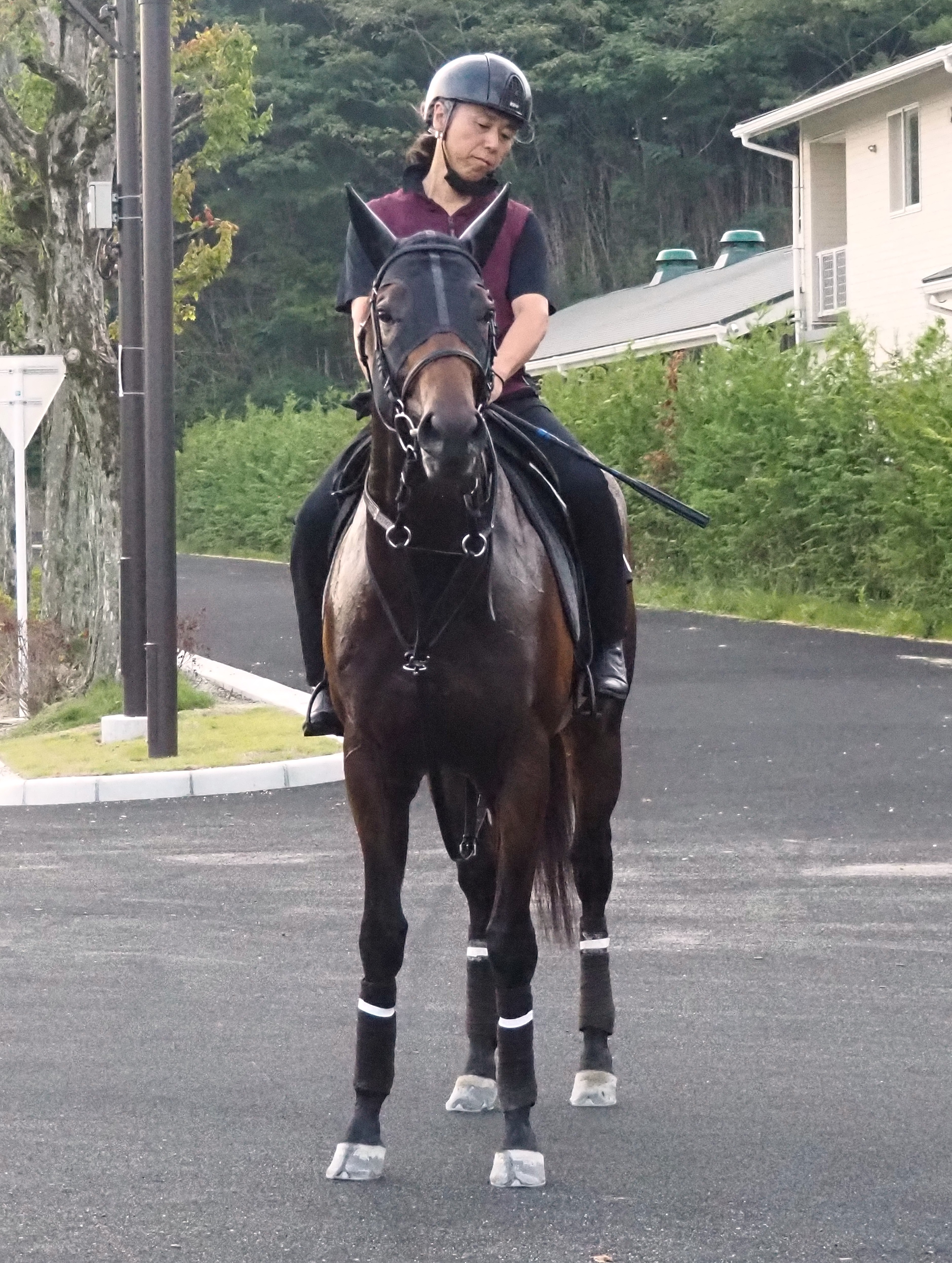 画像サムネイル