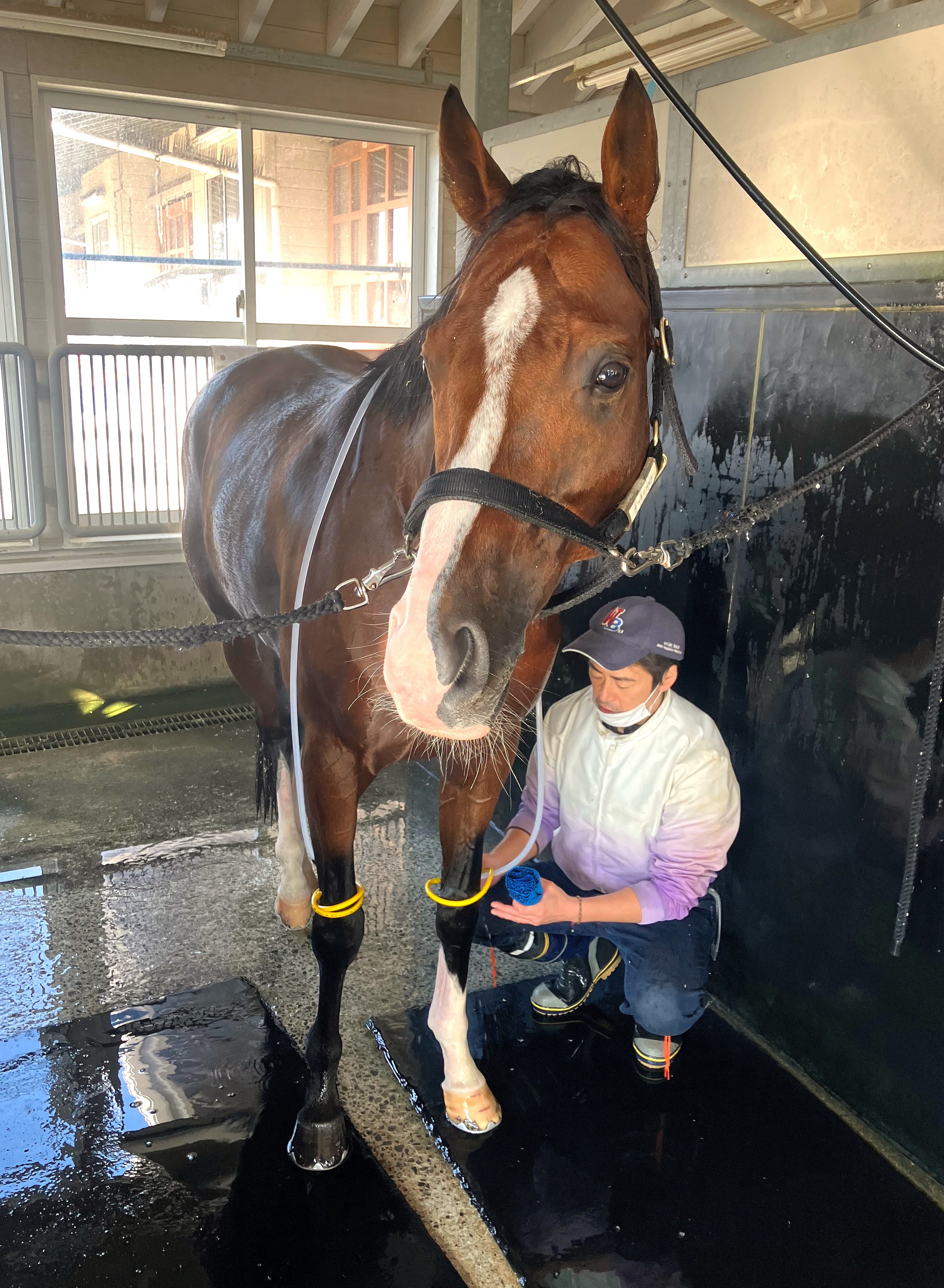 画像サムネイル