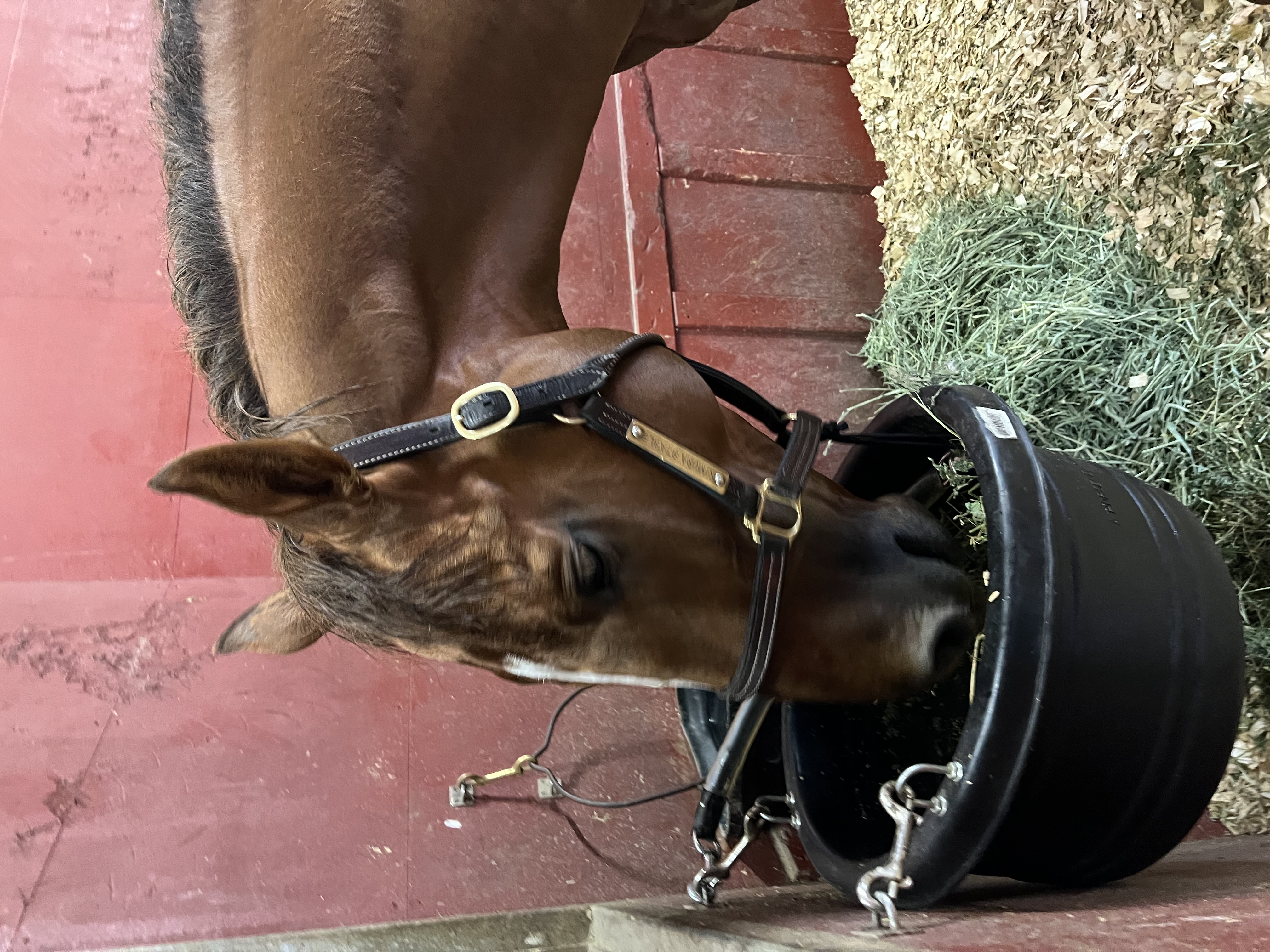 画像サムネイル