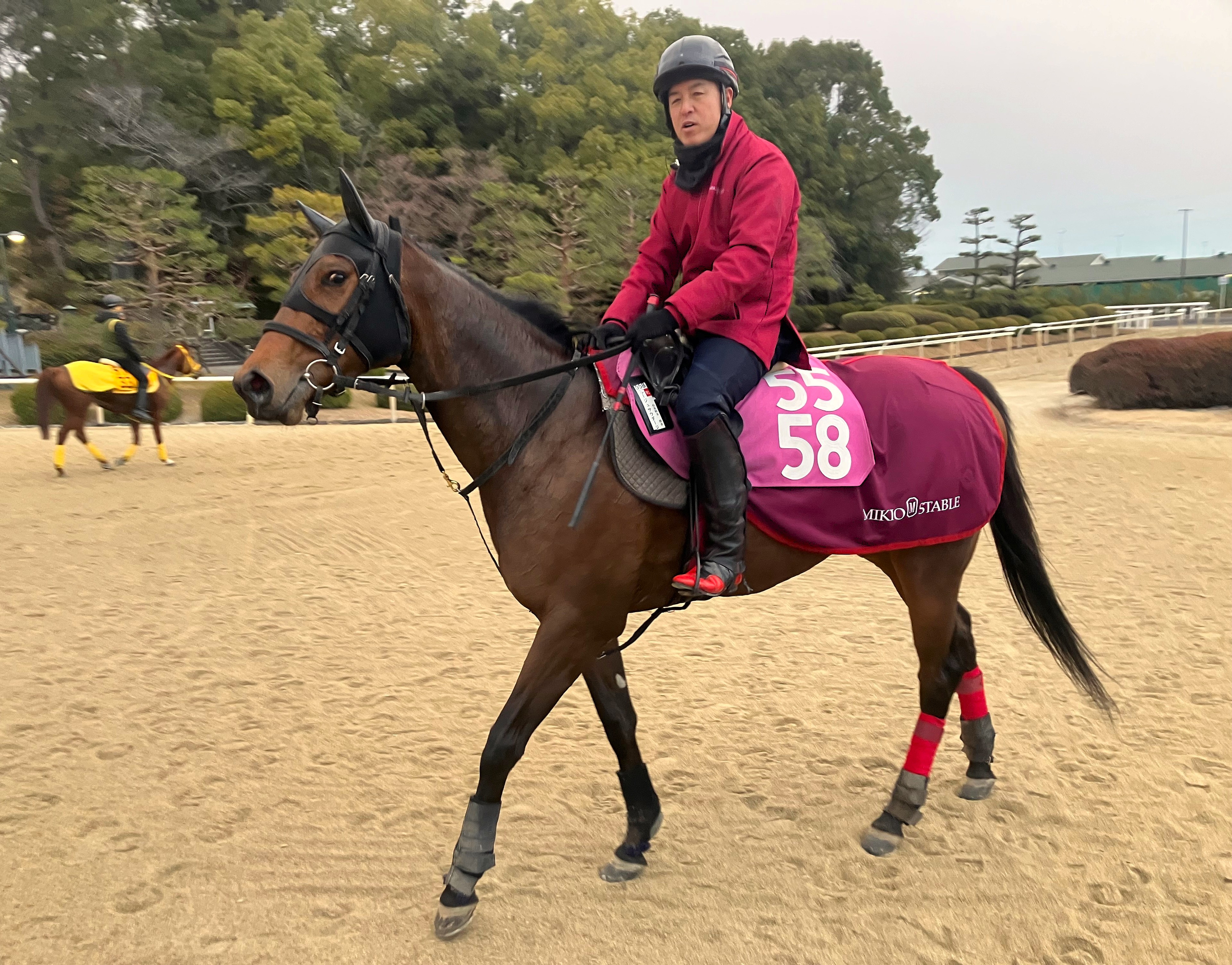 画像サムネイル