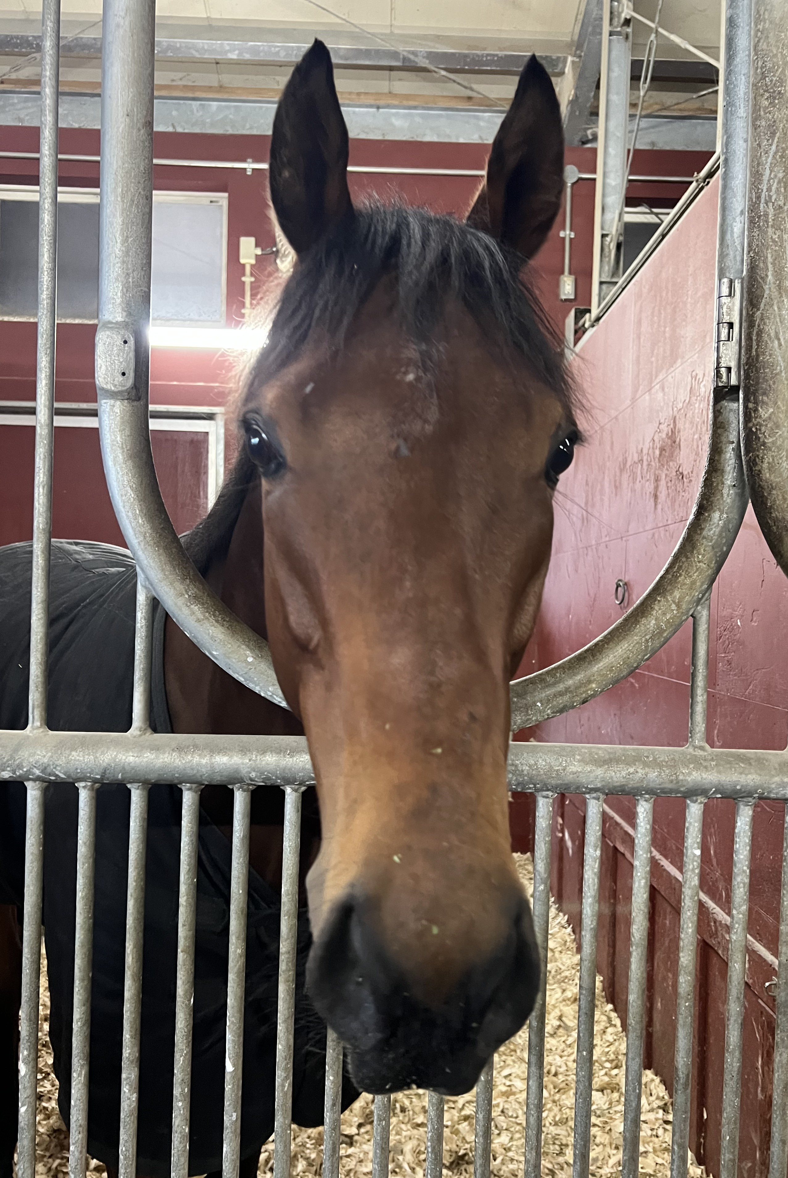 画像サムネイル