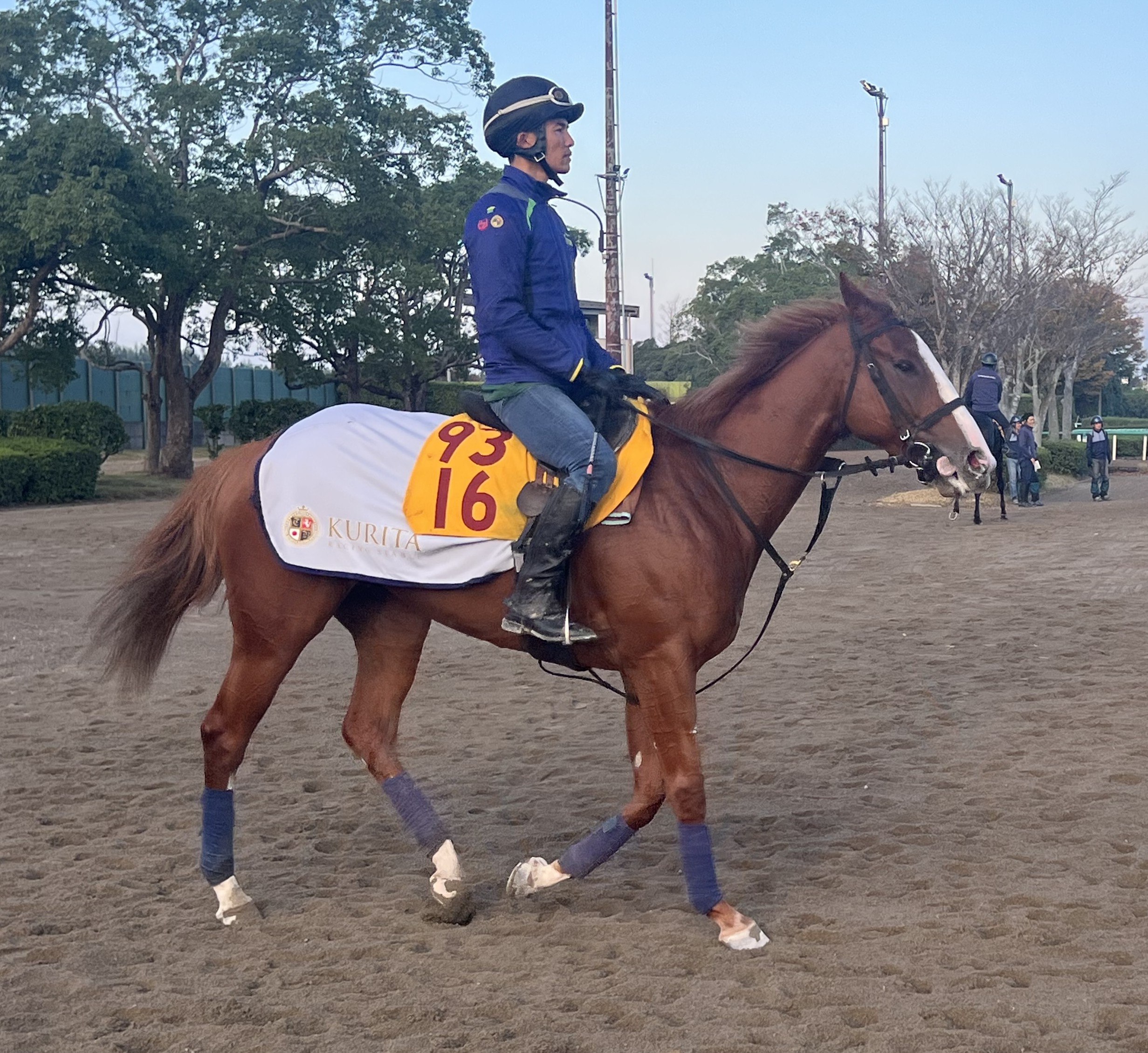 画像サムネイル