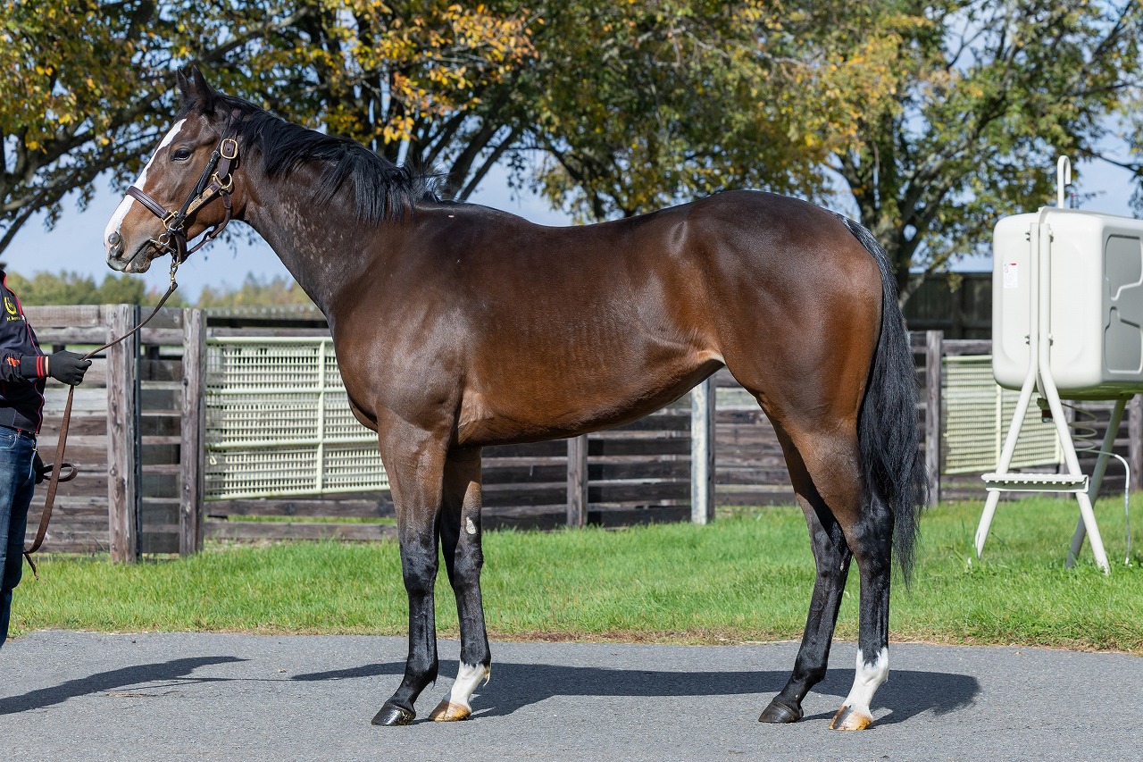 画像サムネイル