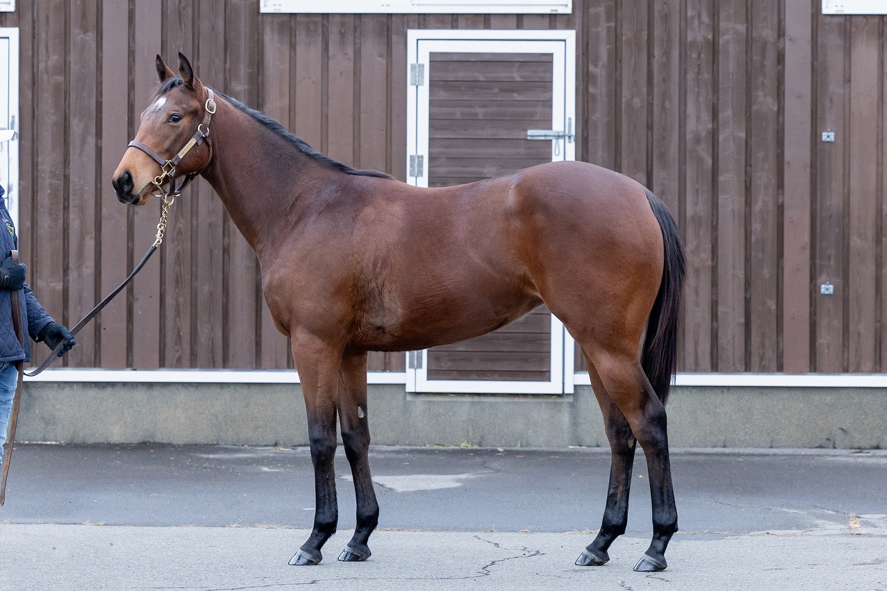 画像サムネイル