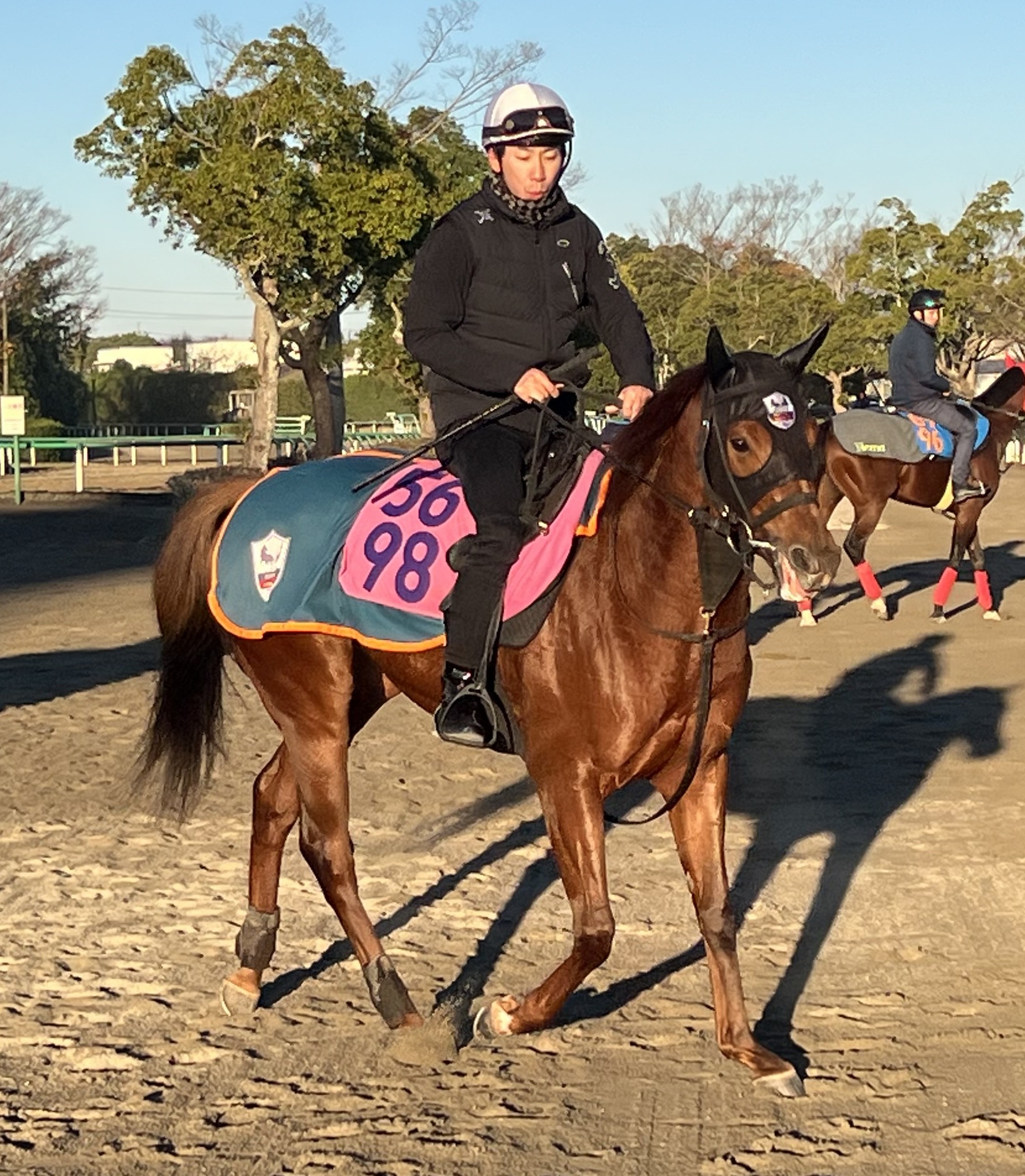 画像サムネイル