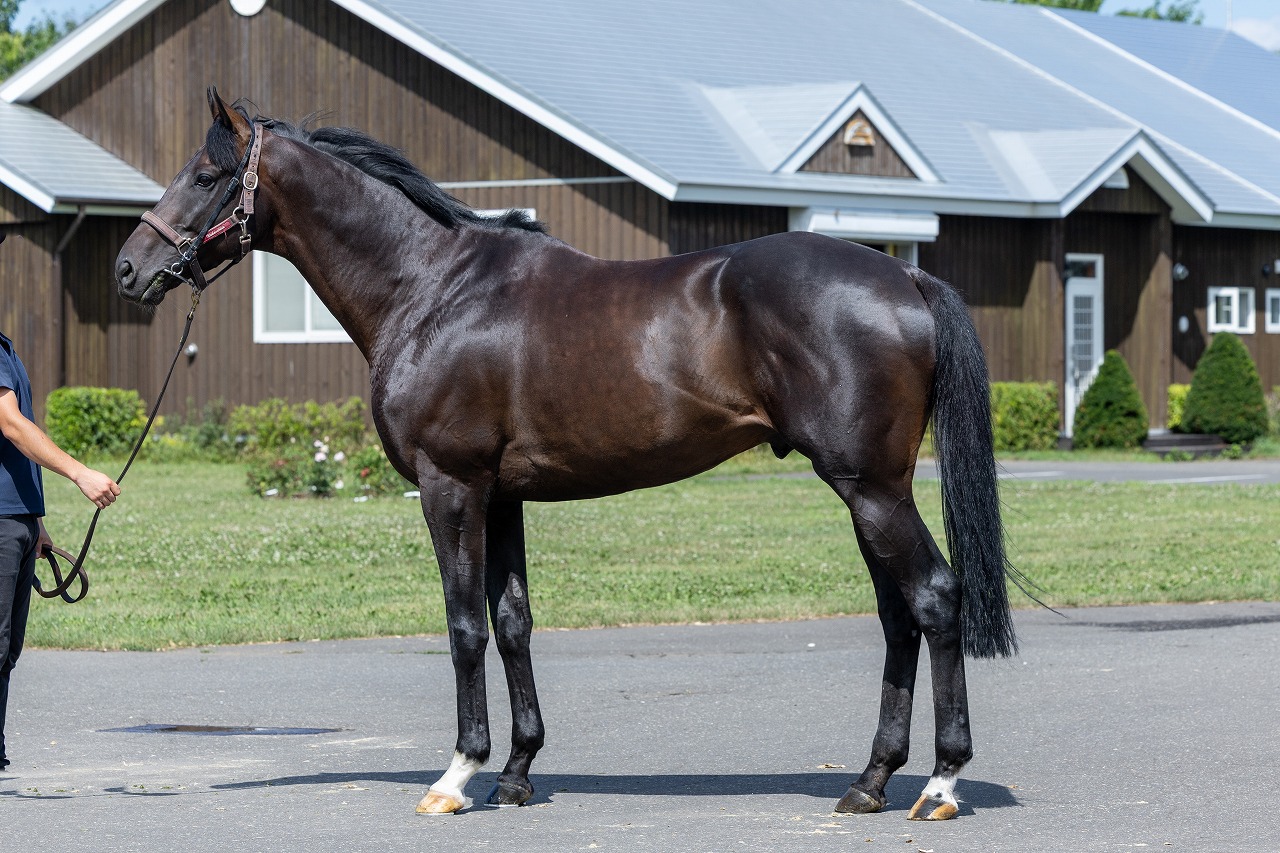 画像サムネイル