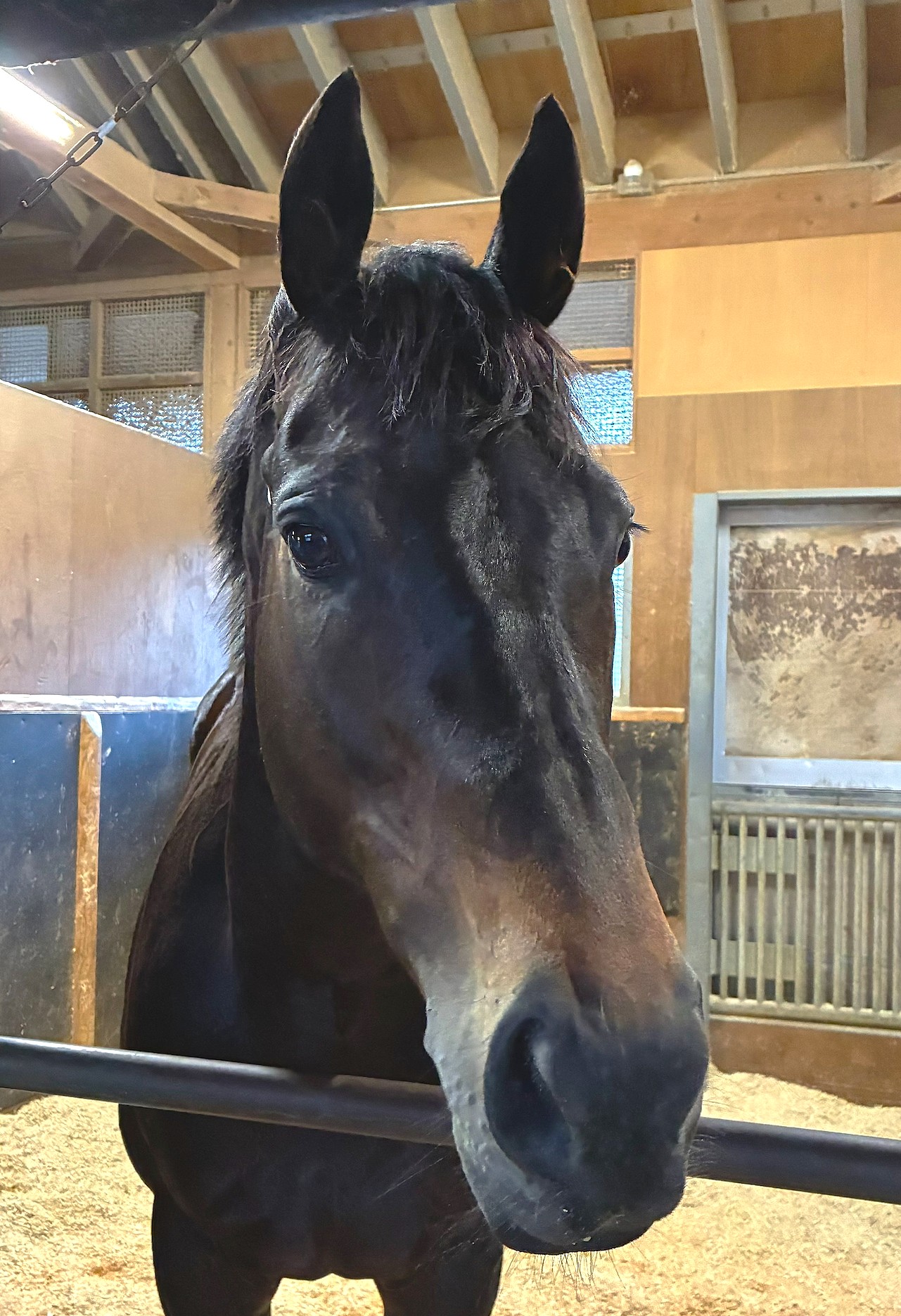 画像サムネイル