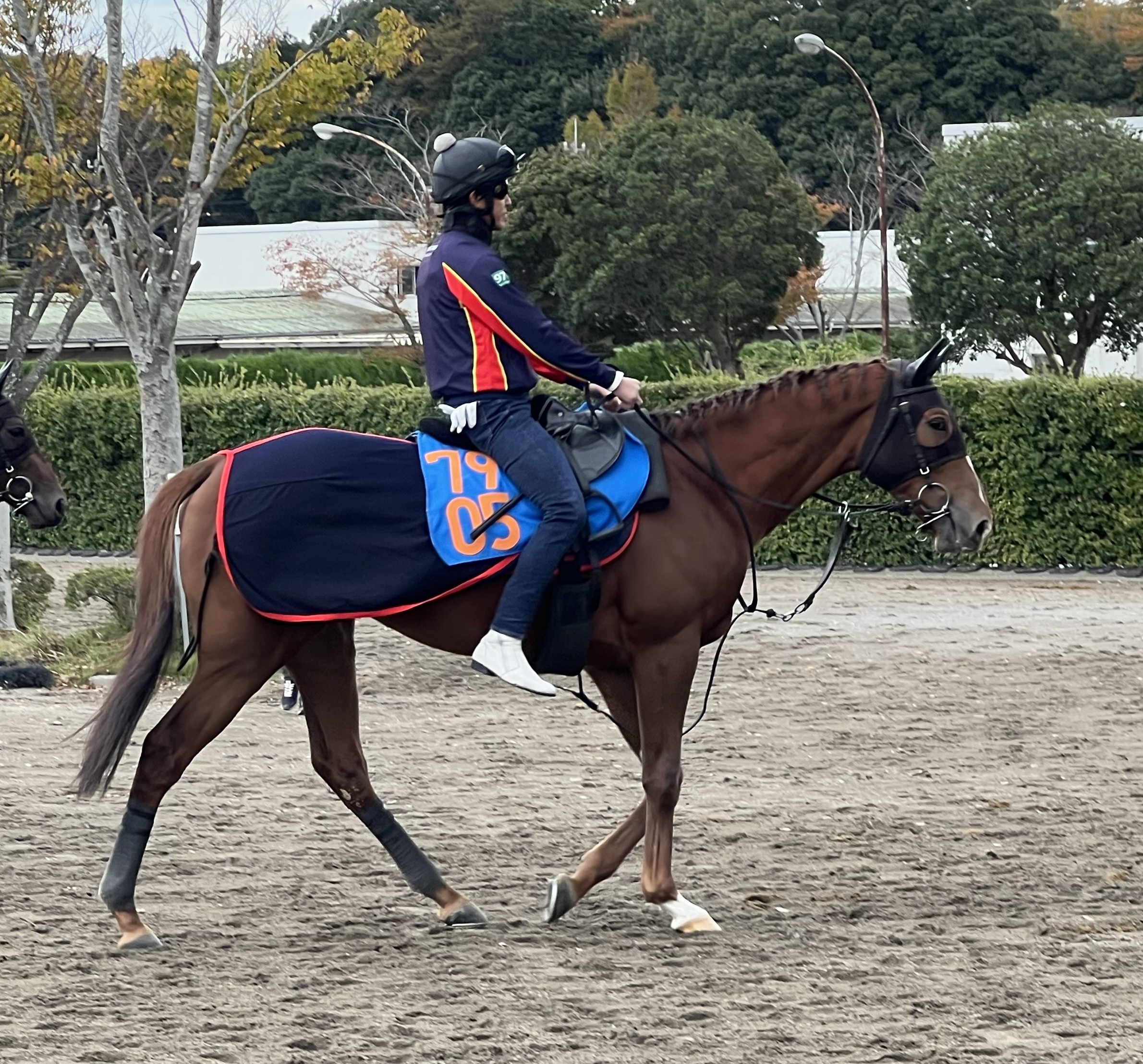 画像サムネイル