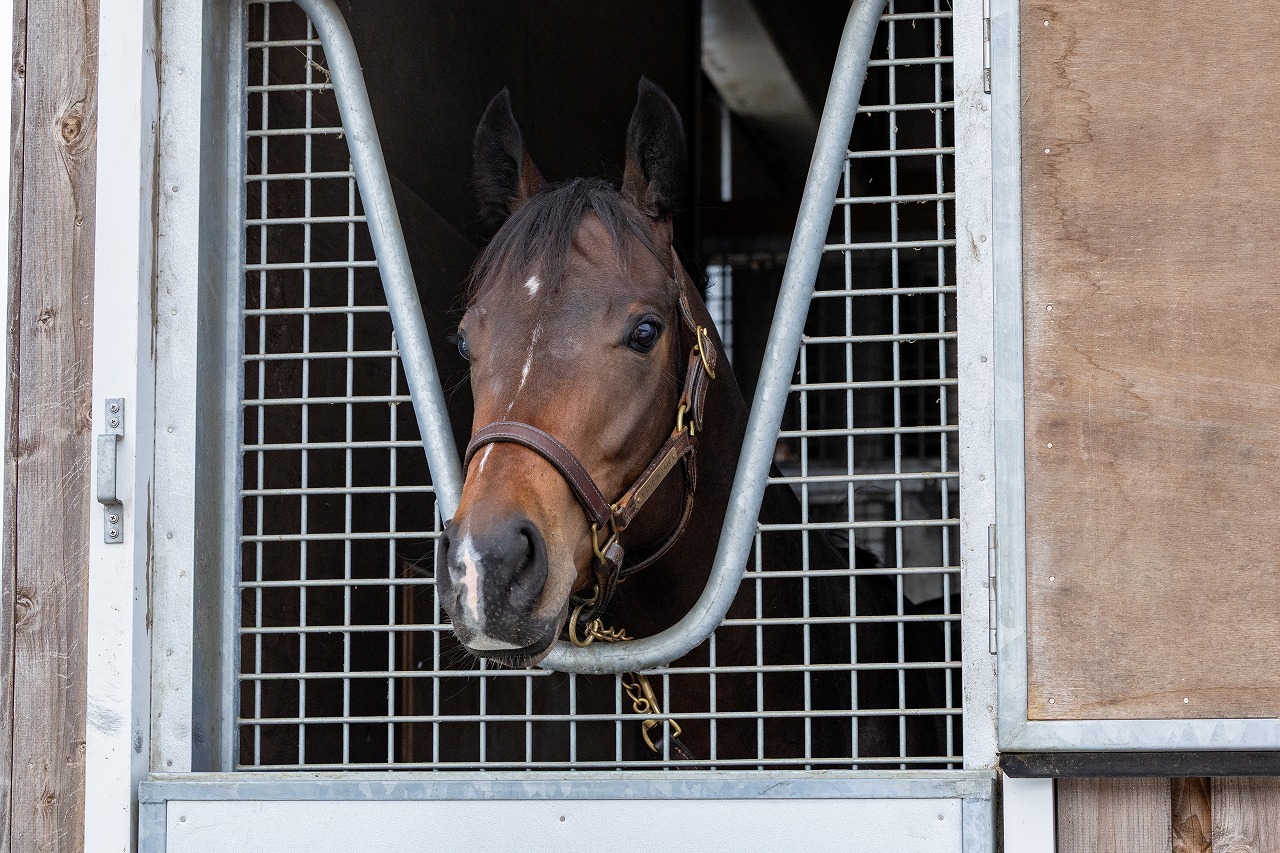 画像サムネイル