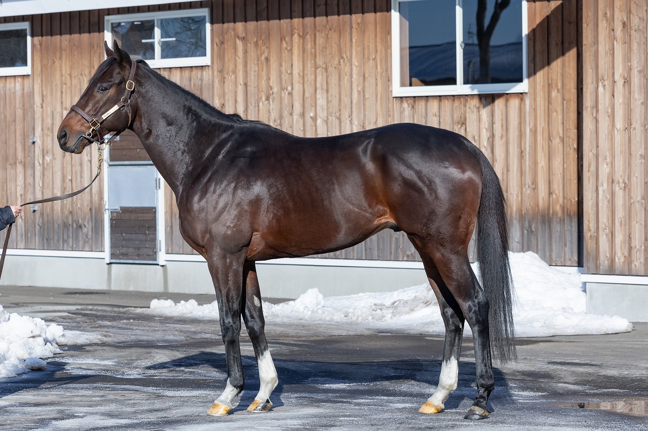 画像サムネイル