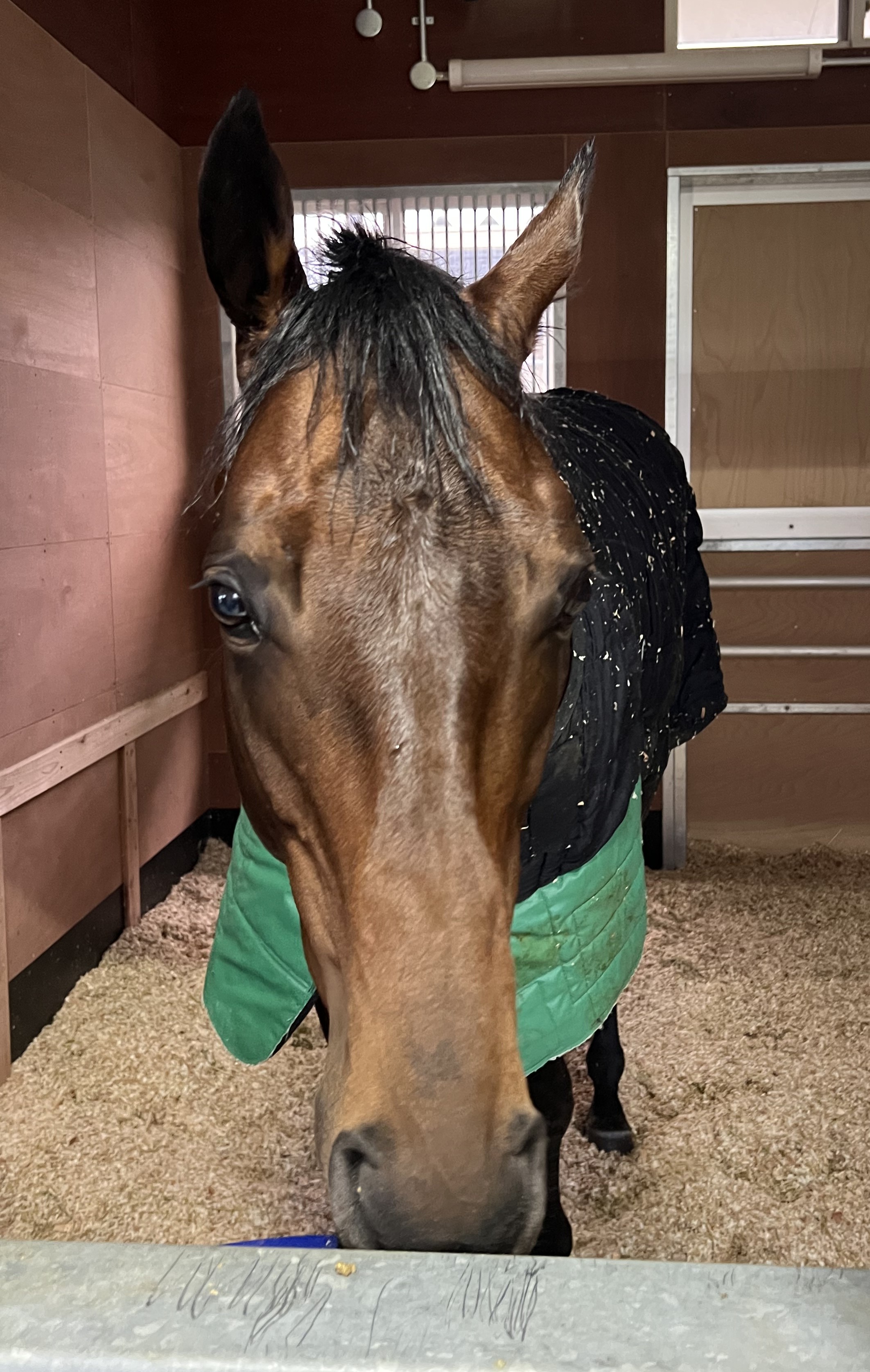 画像サムネイル