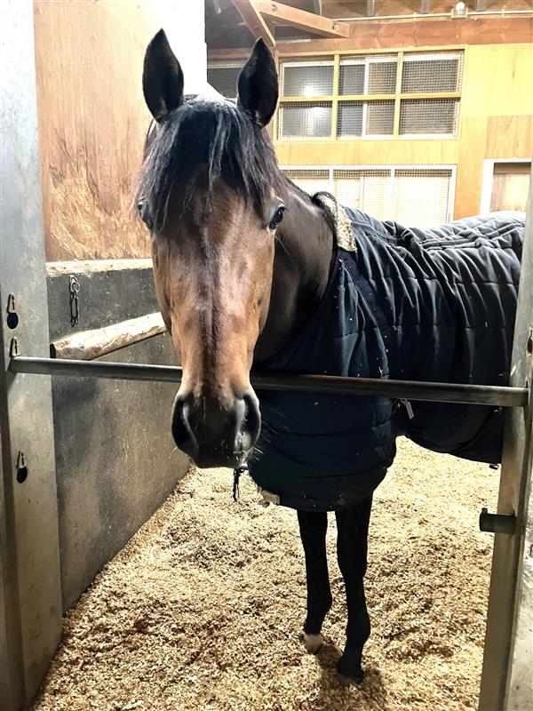 画像サムネイル