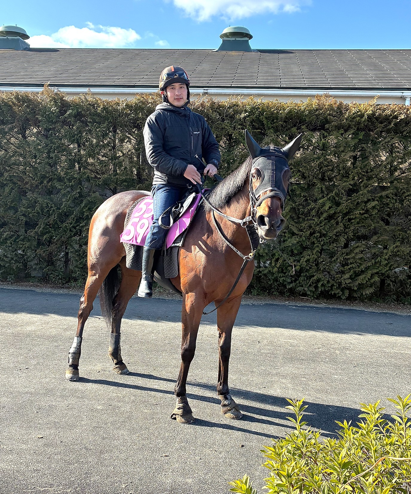 画像サムネイル