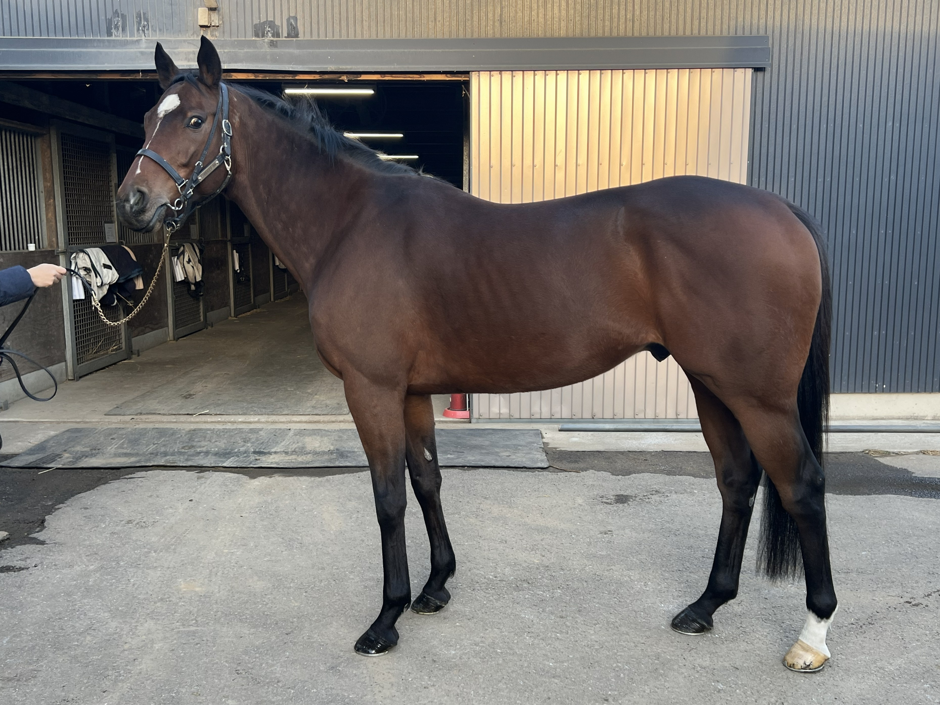 画像サムネイル