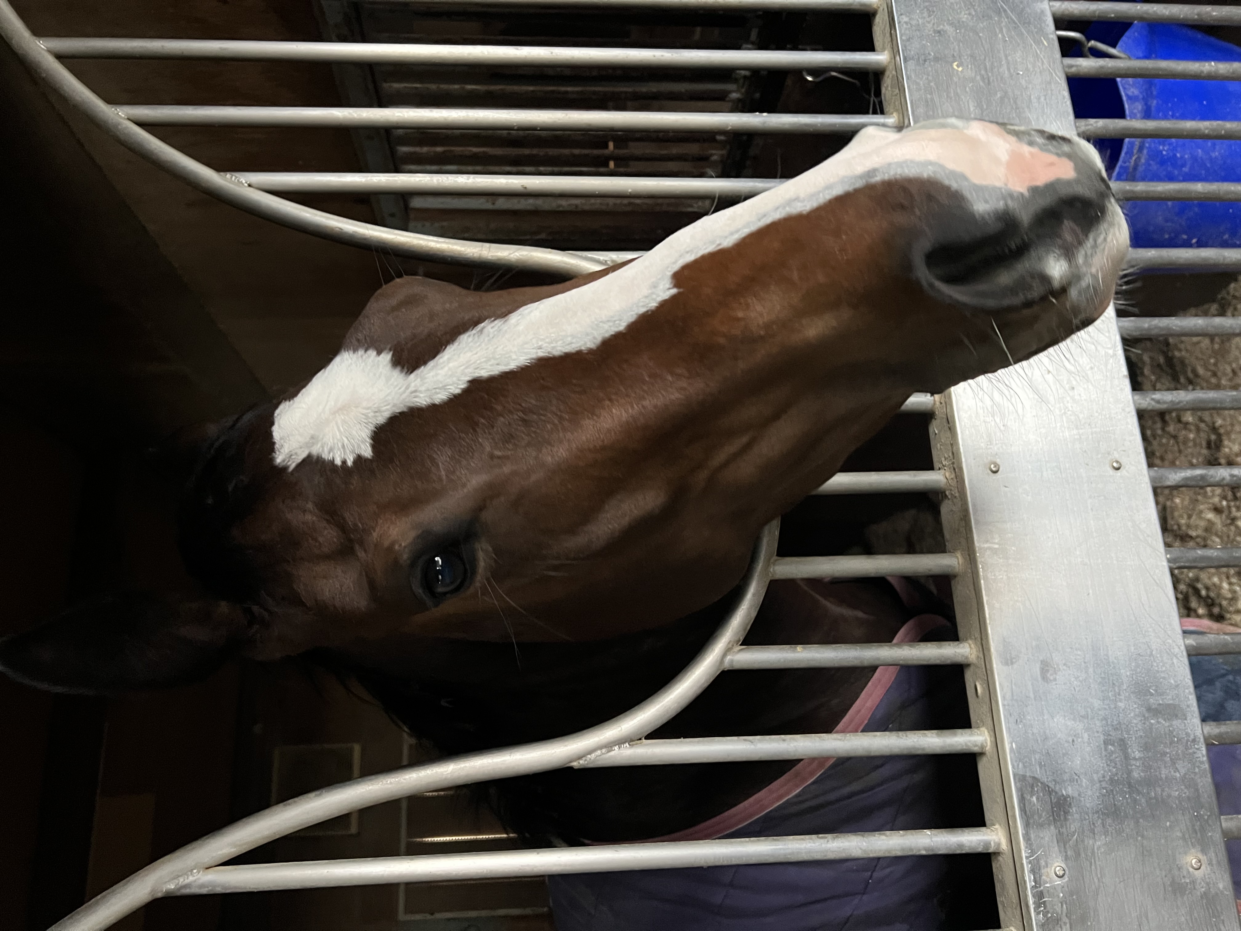 画像サムネイル