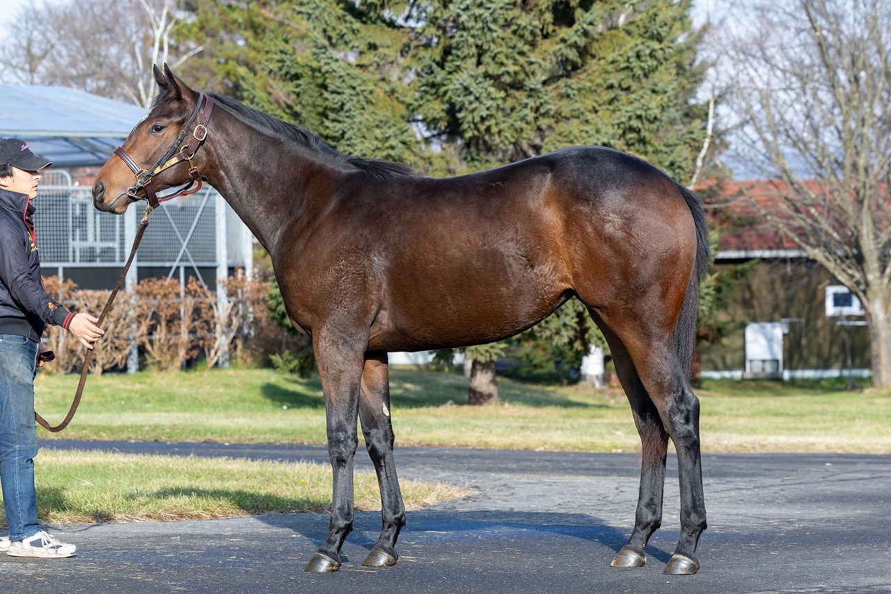 画像サムネイル