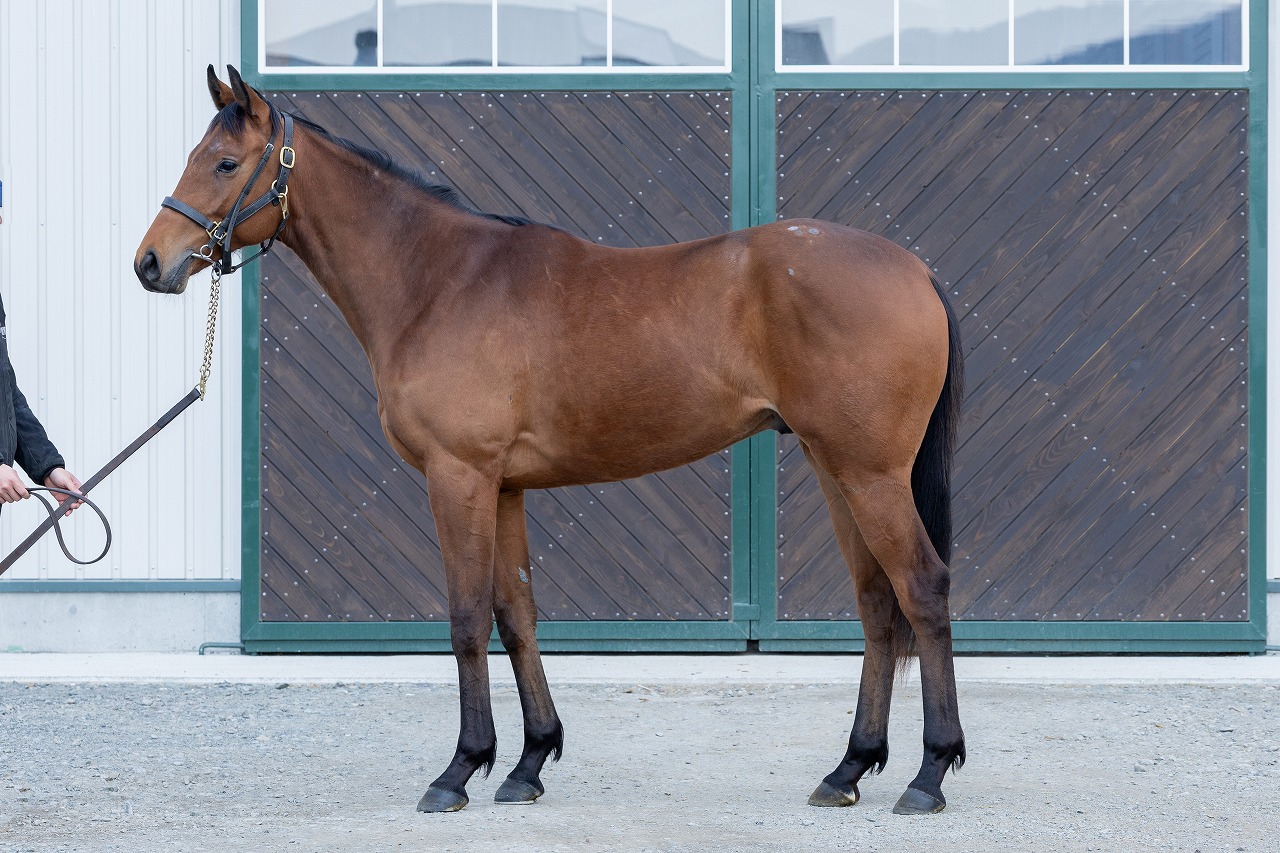 画像サムネイル