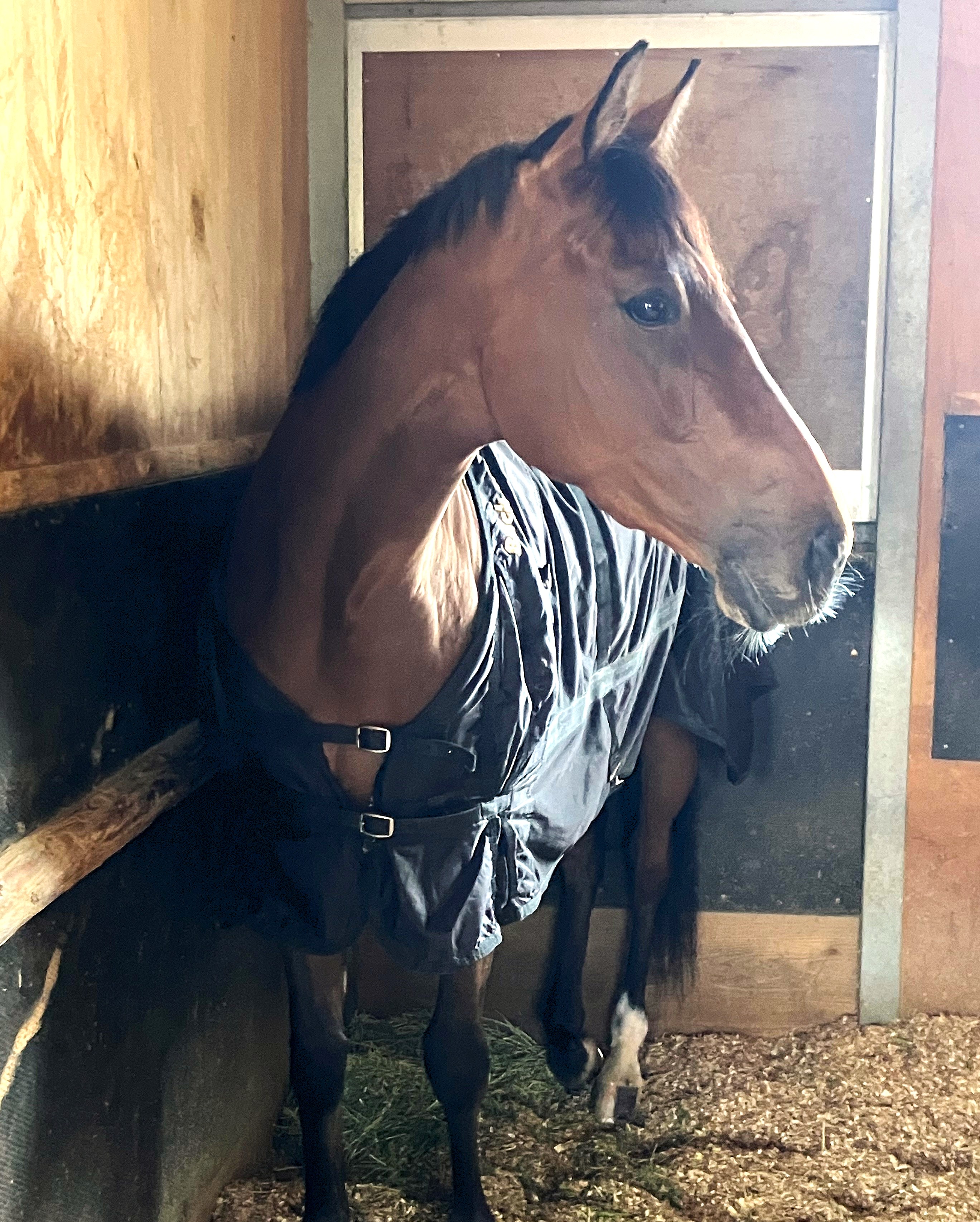 画像サムネイル