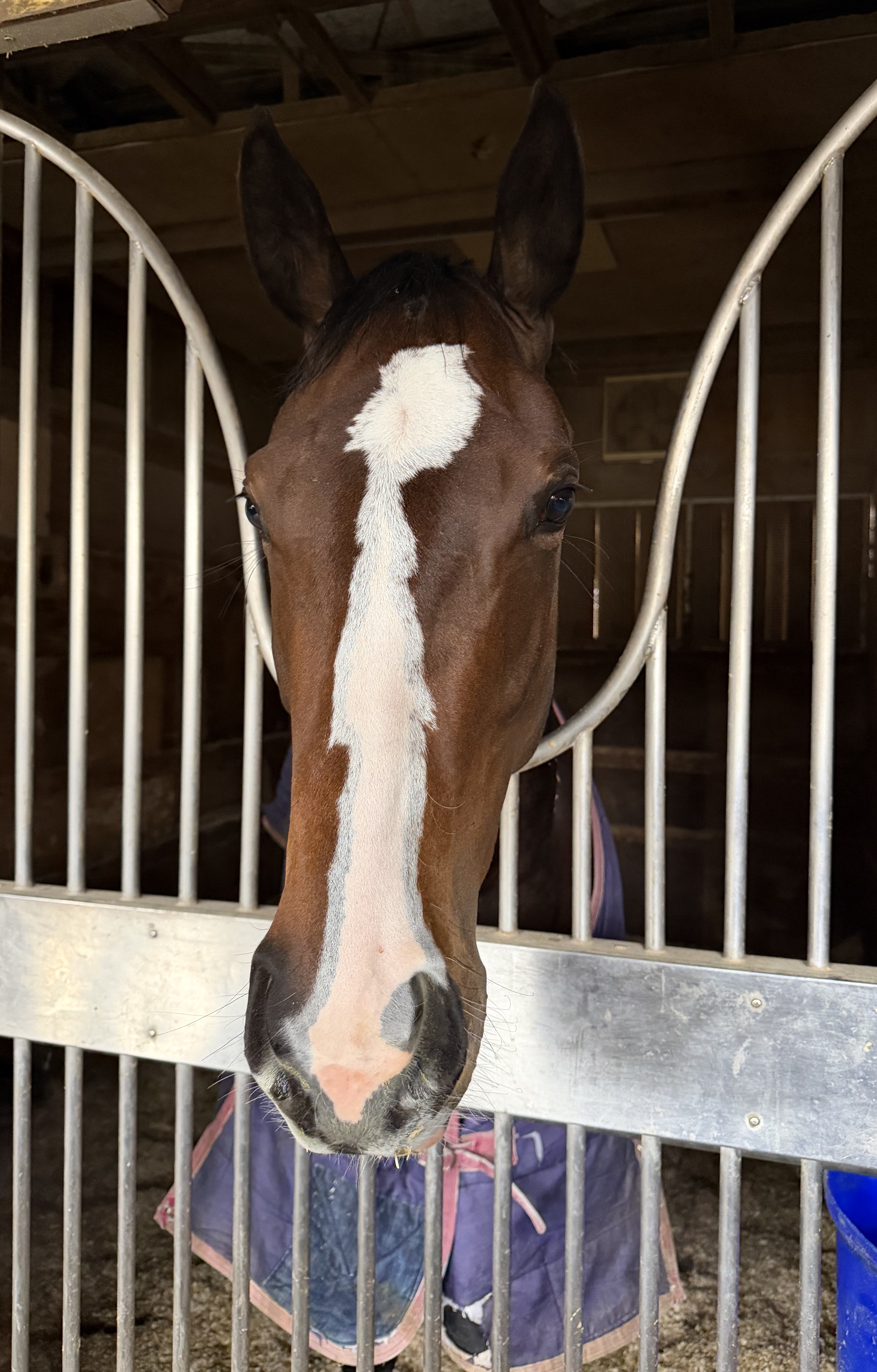 画像サムネイル