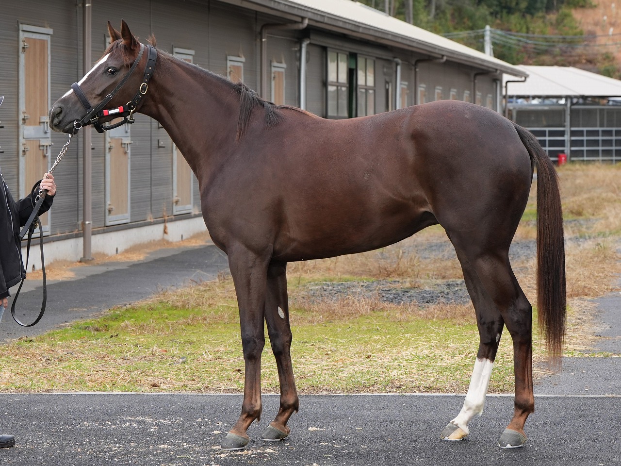 画像サムネイル