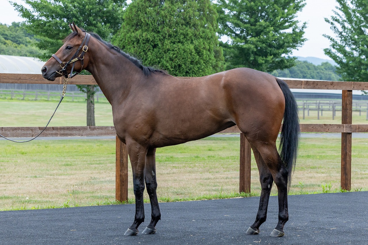 画像サムネイル