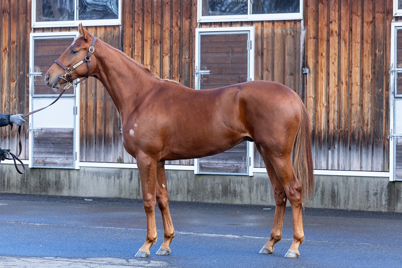 画像サムネイル