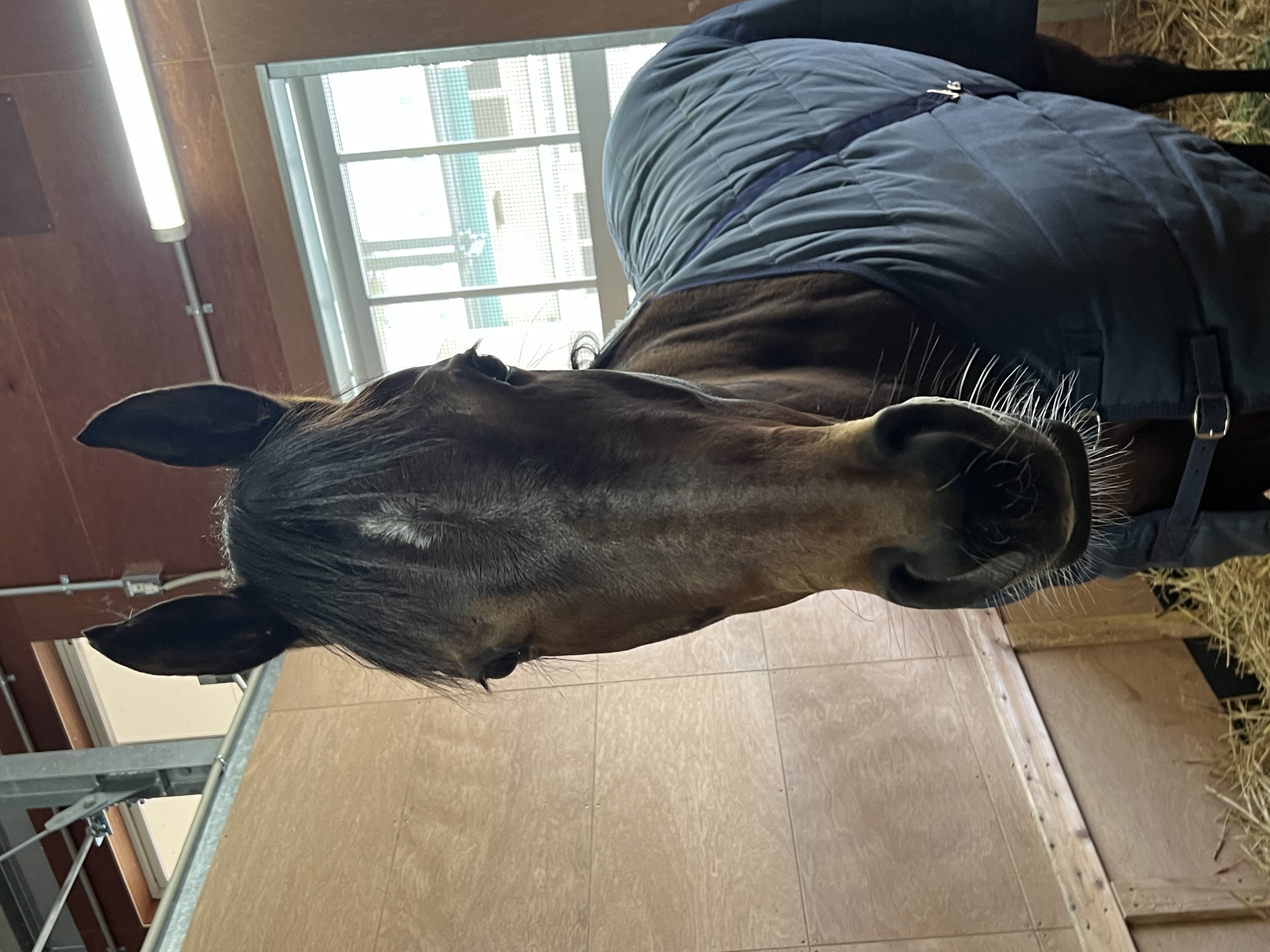 画像サムネイル