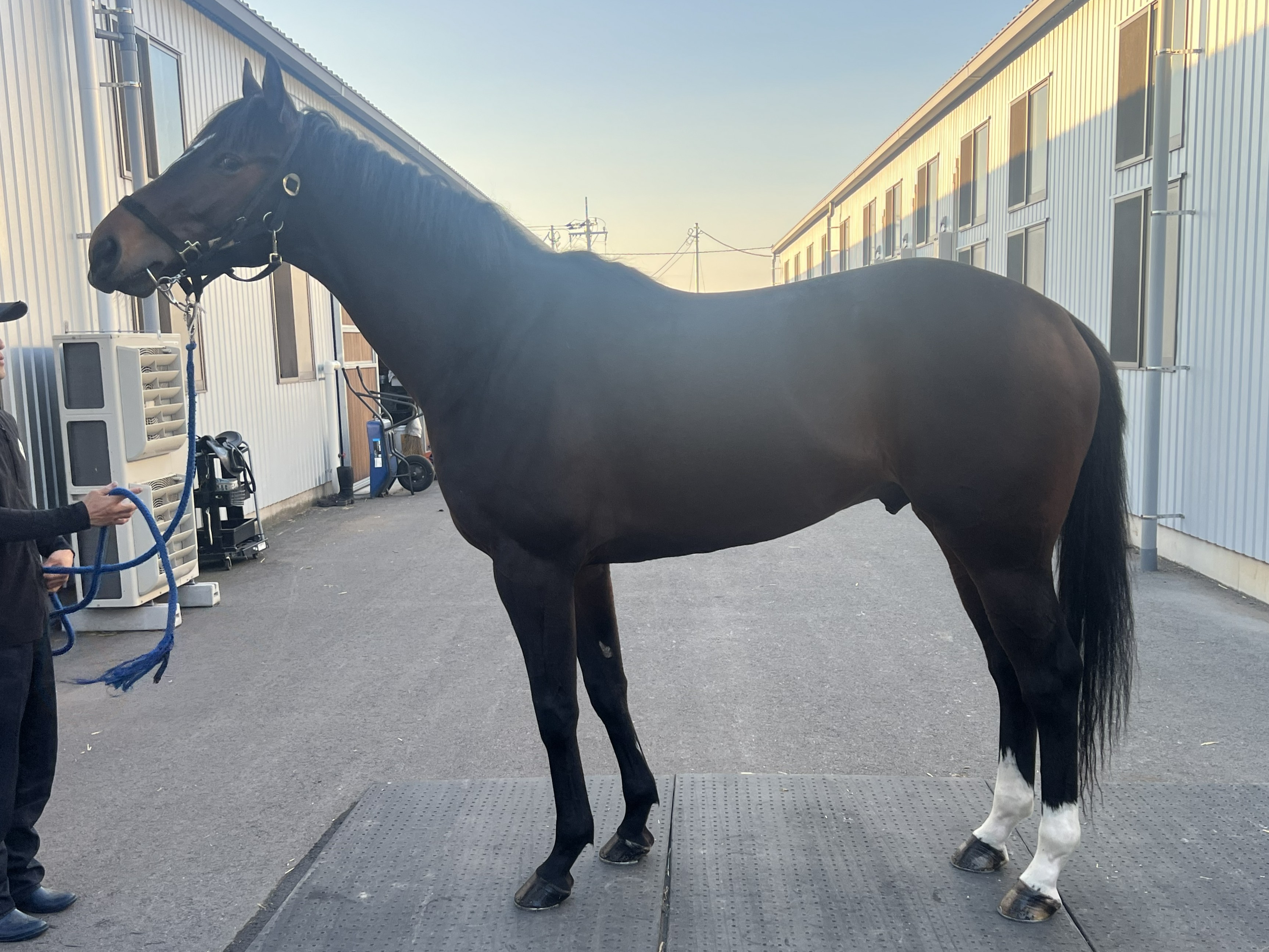 画像サムネイル