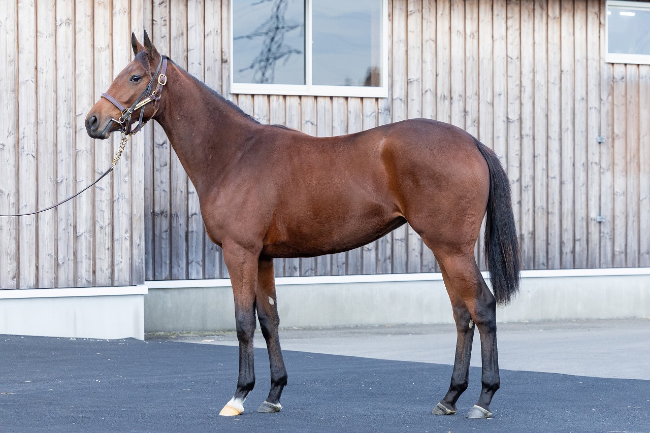 画像サムネイル