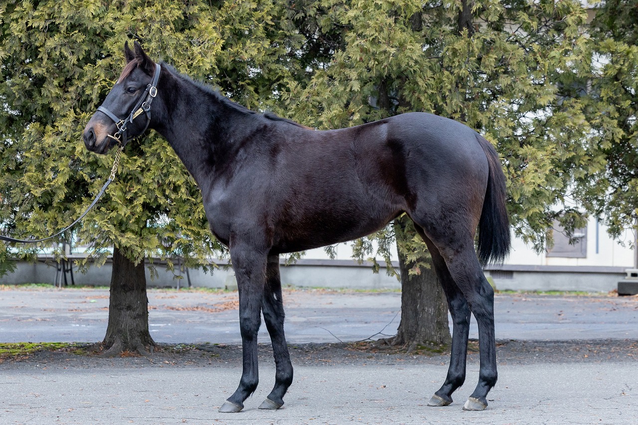 画像サムネイル