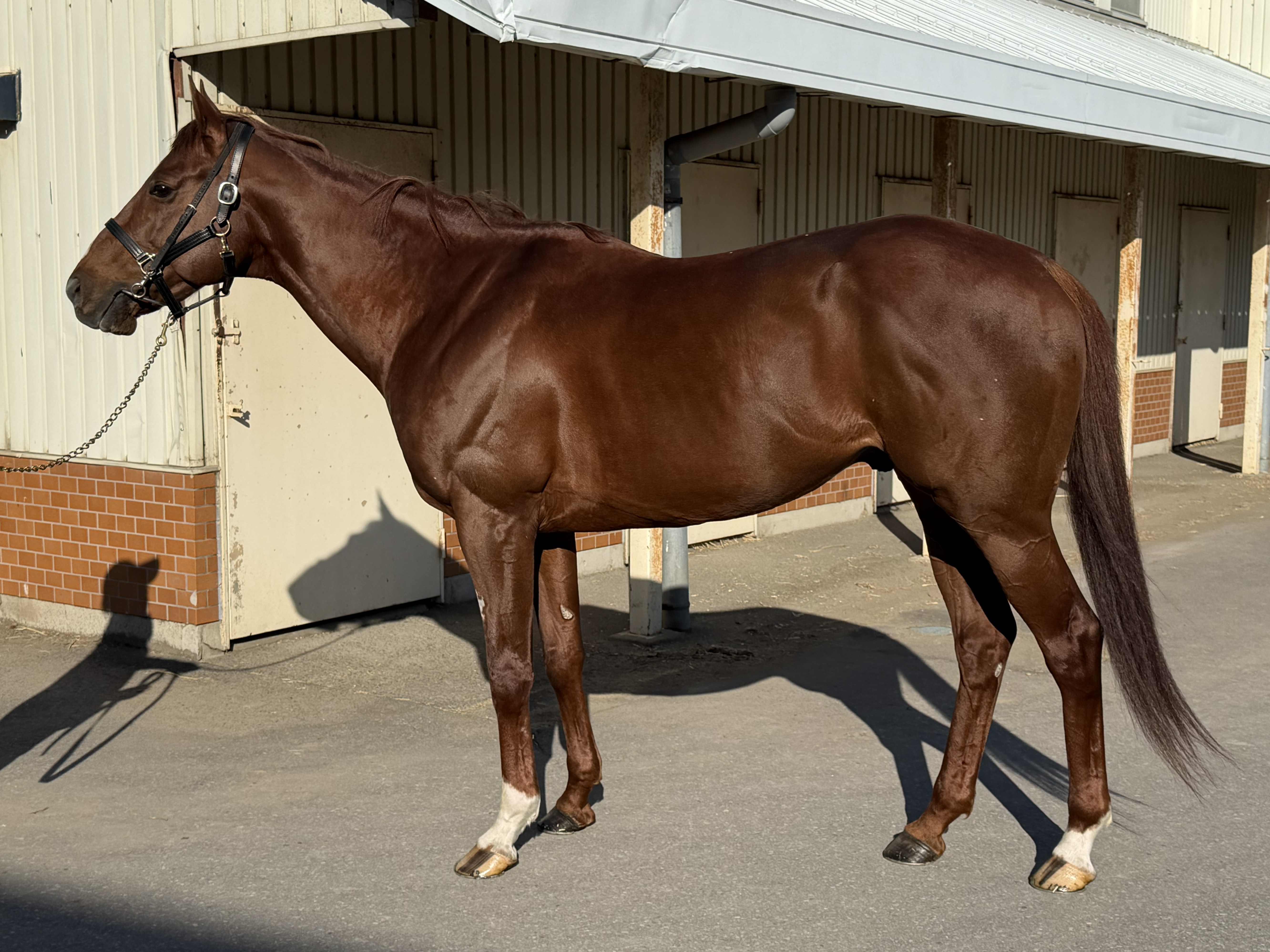 画像サムネイル