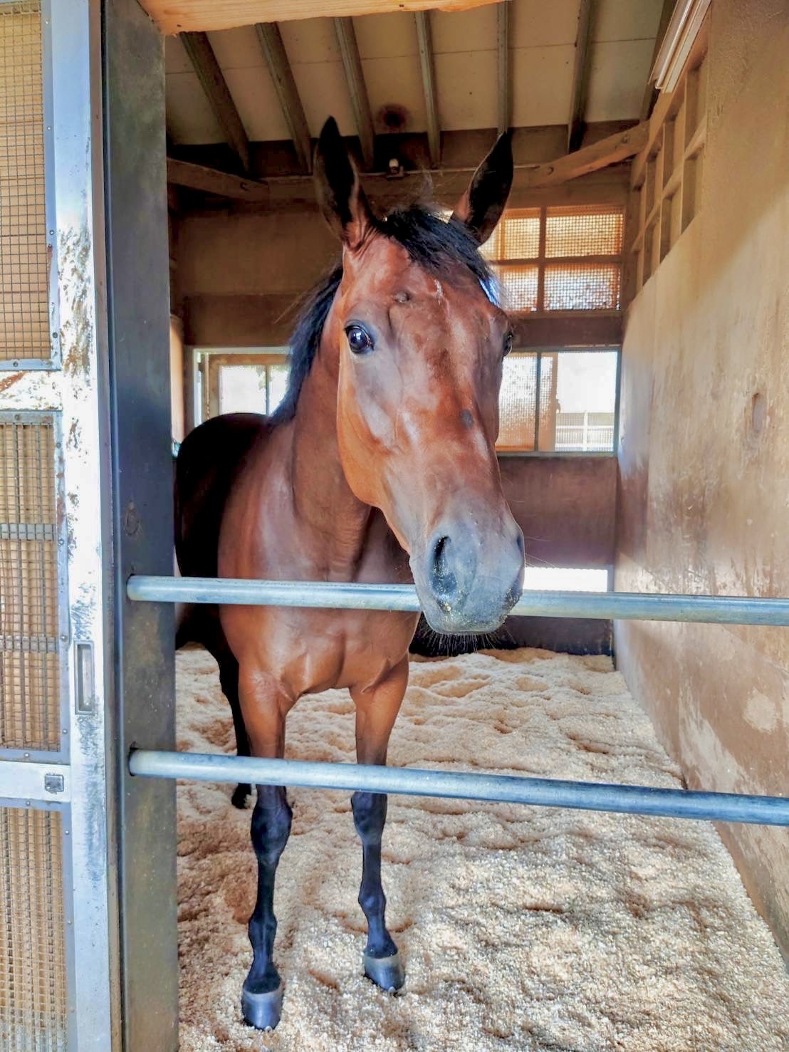 画像サムネイル